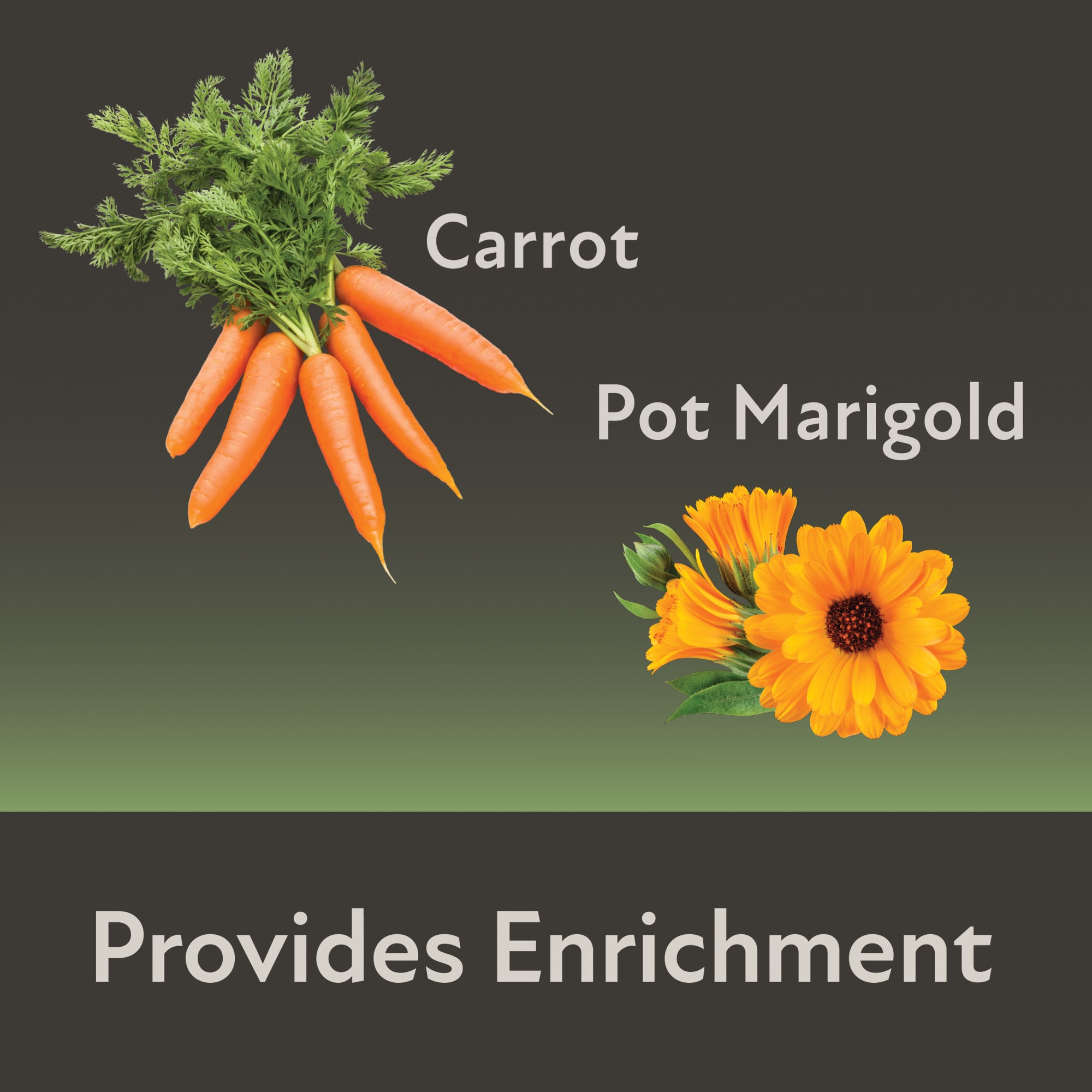 Kaytee Field+Forest Carrot and Marigold Mini Hay Bales, 7 oz., Pack of 2