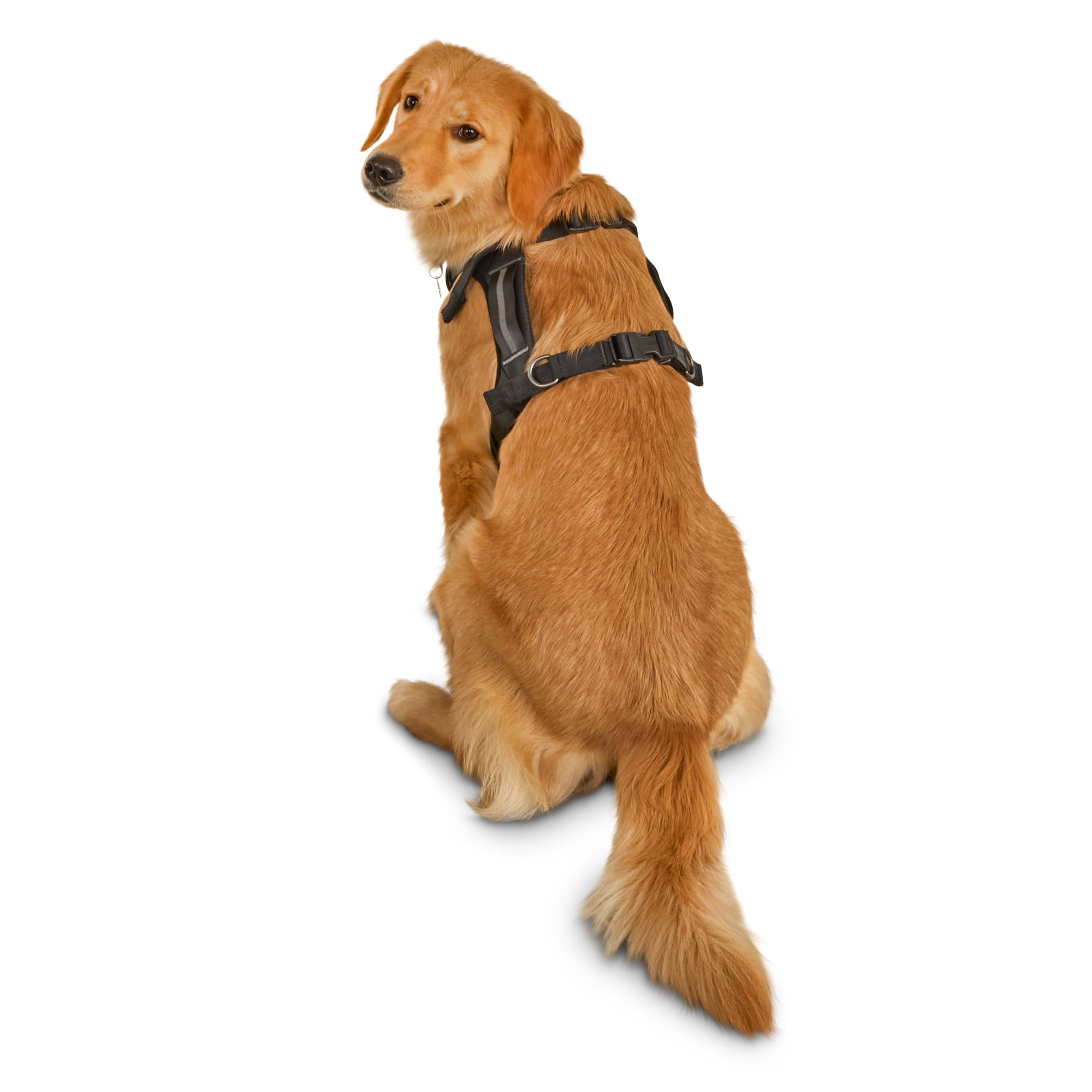 Reddy Road Trip Crash-Tested Dog Harness, Large