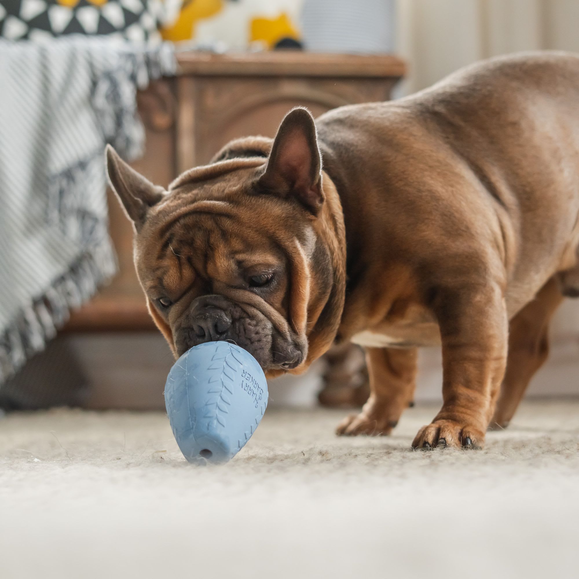 Harry Barker Durable Rubber Treater Dog Toy, X-Small