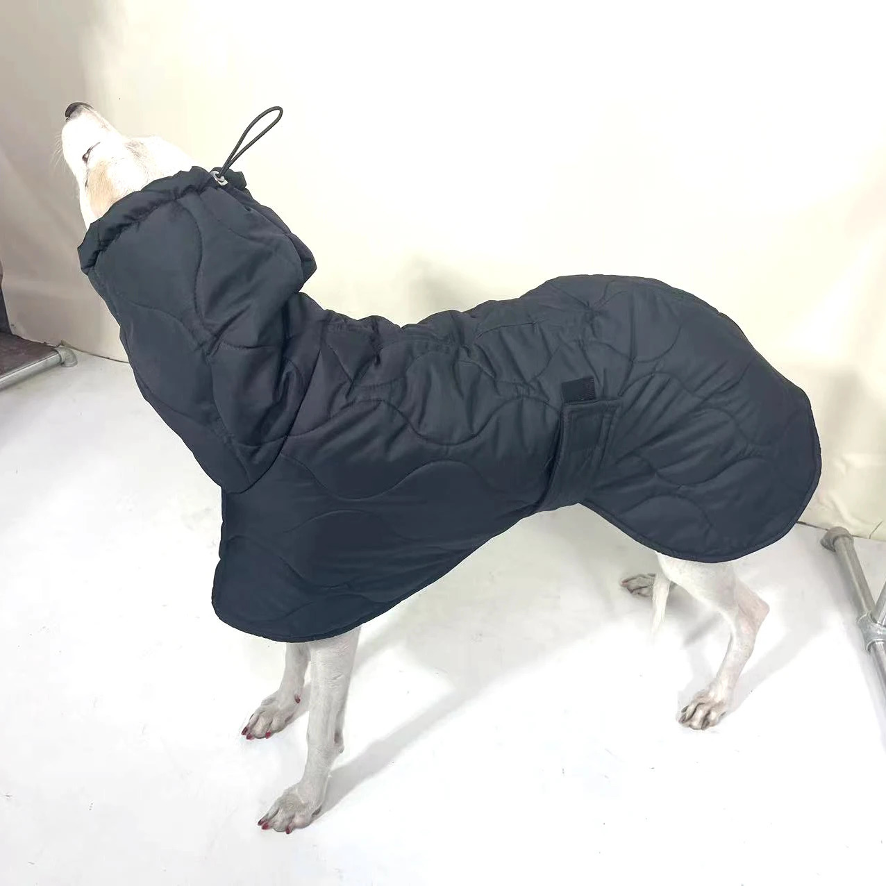 Winter Dog Outer Black Quilted Turtle Collar Dog Coat Warm Italian Greyhound Adjustable Cotton Whippet 241125