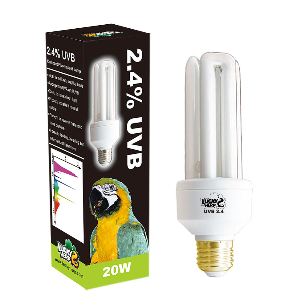 20w Bird 2.0 uvb uva compact fluorescent lamp light bulb 2 in 1