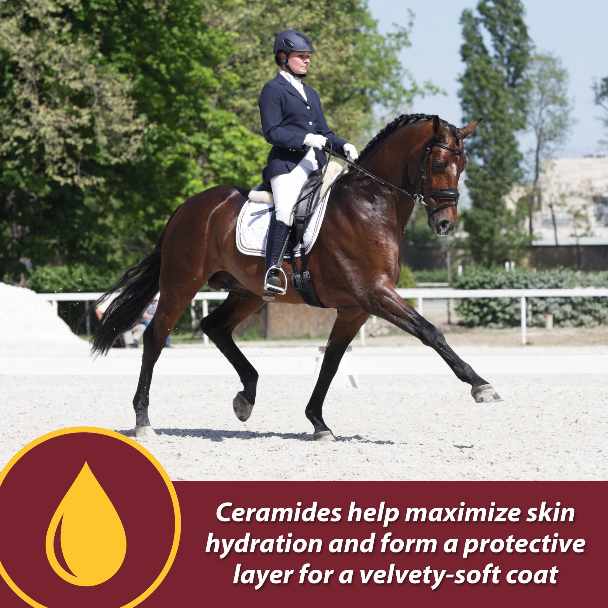 Farnam Laser Sheen Skin & Coat Promotes Healthy Skin & Radiant Coat from the Inside Out Supplement for Horses, 7.5 lbs.
