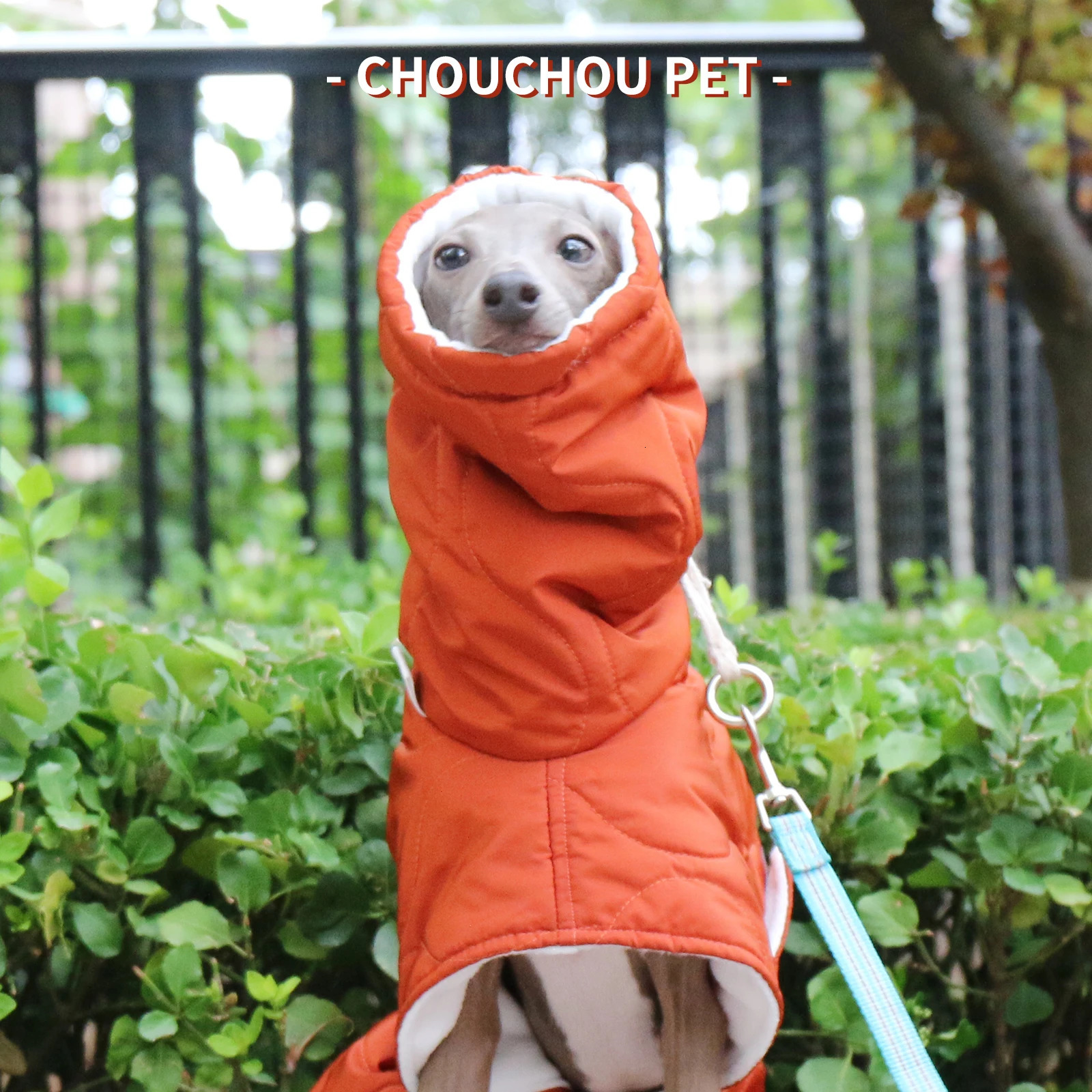 Winter Dog Outer orange Quilted Turtle Collar Dog Coat Warm Italian Greyhound Adjustable Cotton Whippet 241125