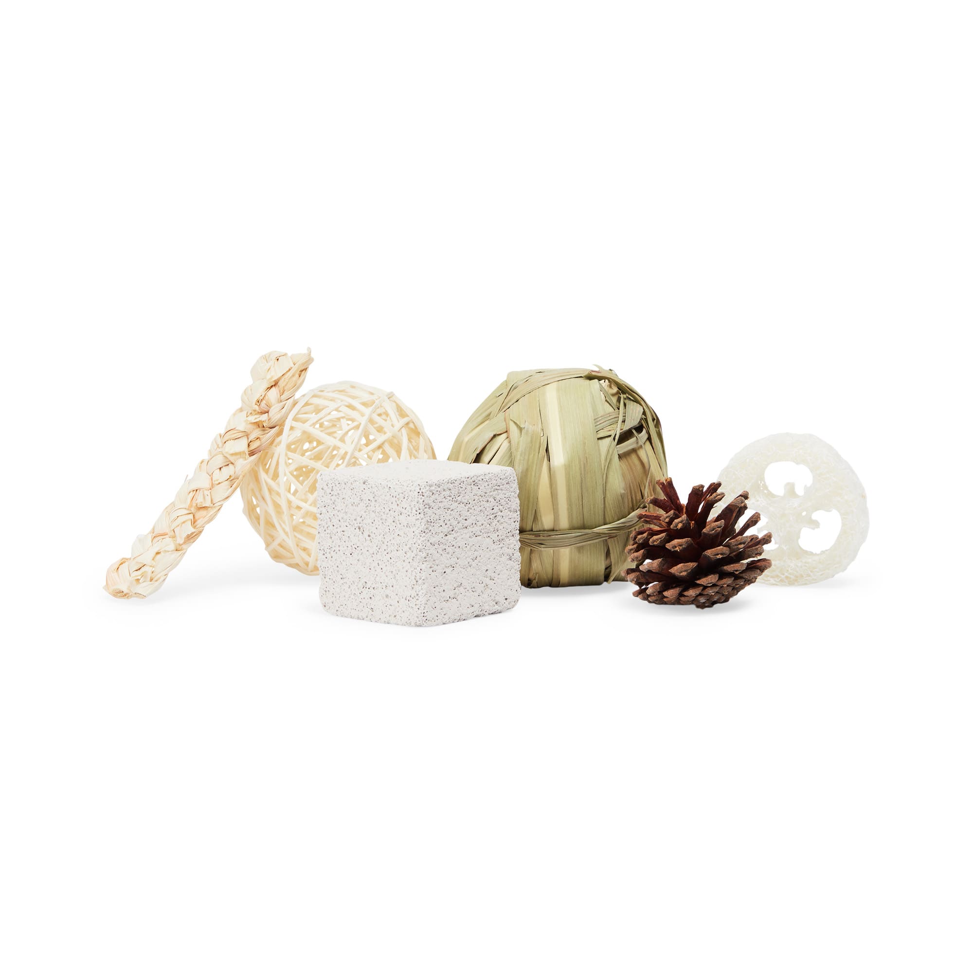 EveryYay Toy Bundle for Small Animals