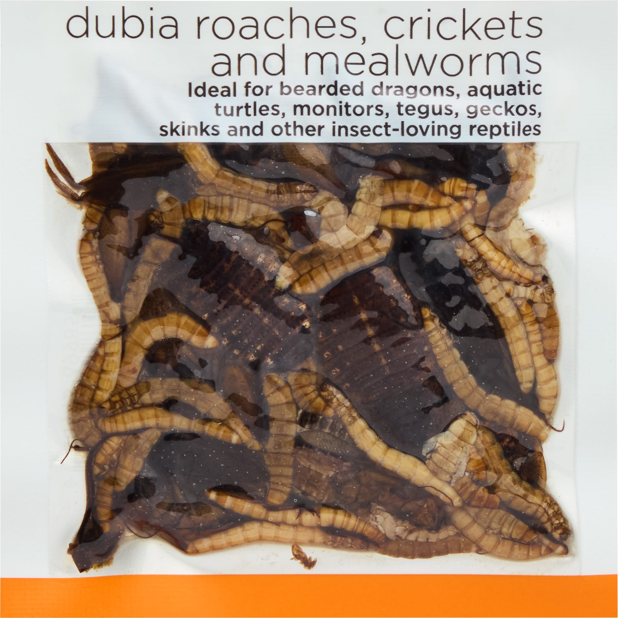 Imagitarium Insect Variety Pack, 0.7 oz.