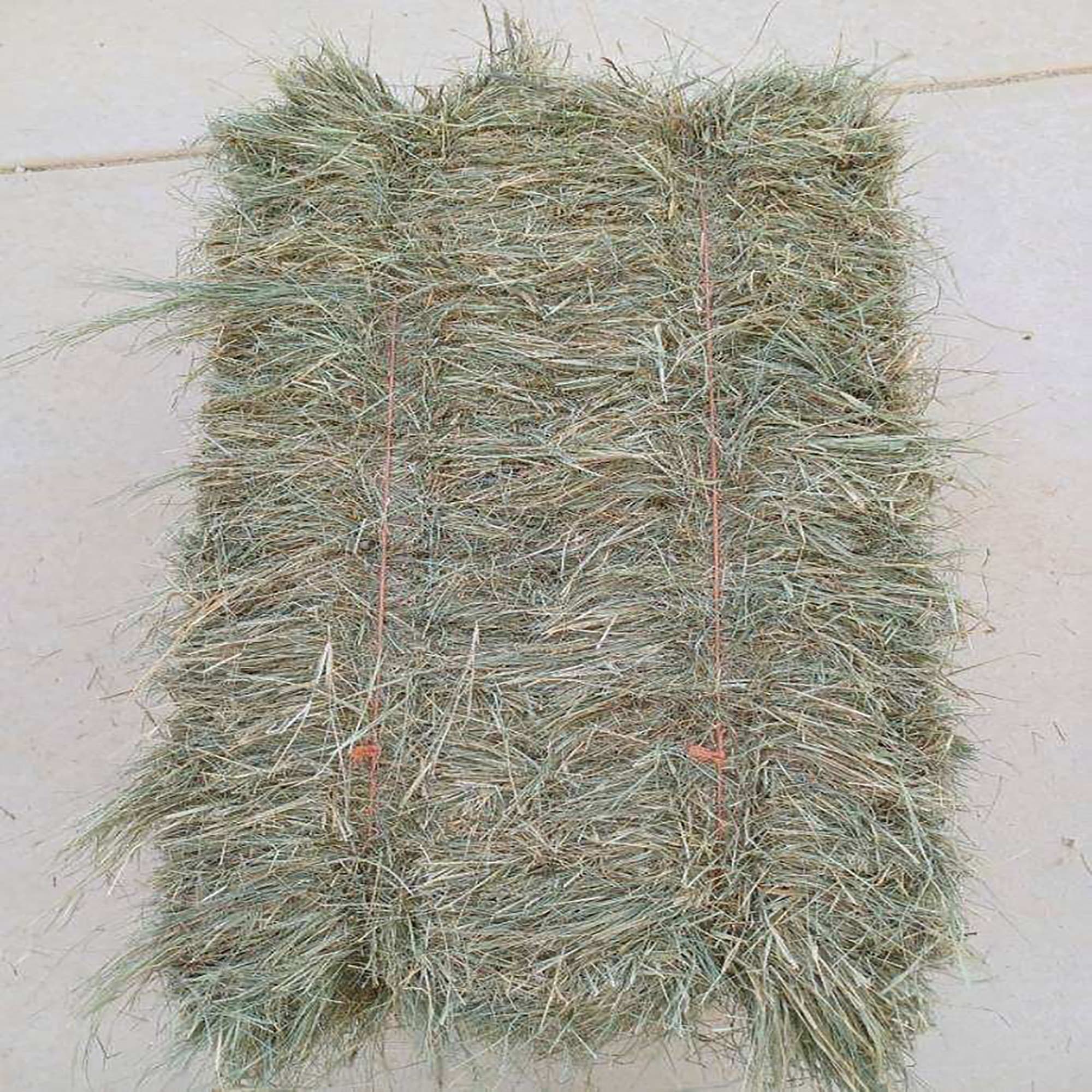 XIMENEZ HAY FARM Coastal Bermuda Square Hay Bale Dry Food, 65 lbs.