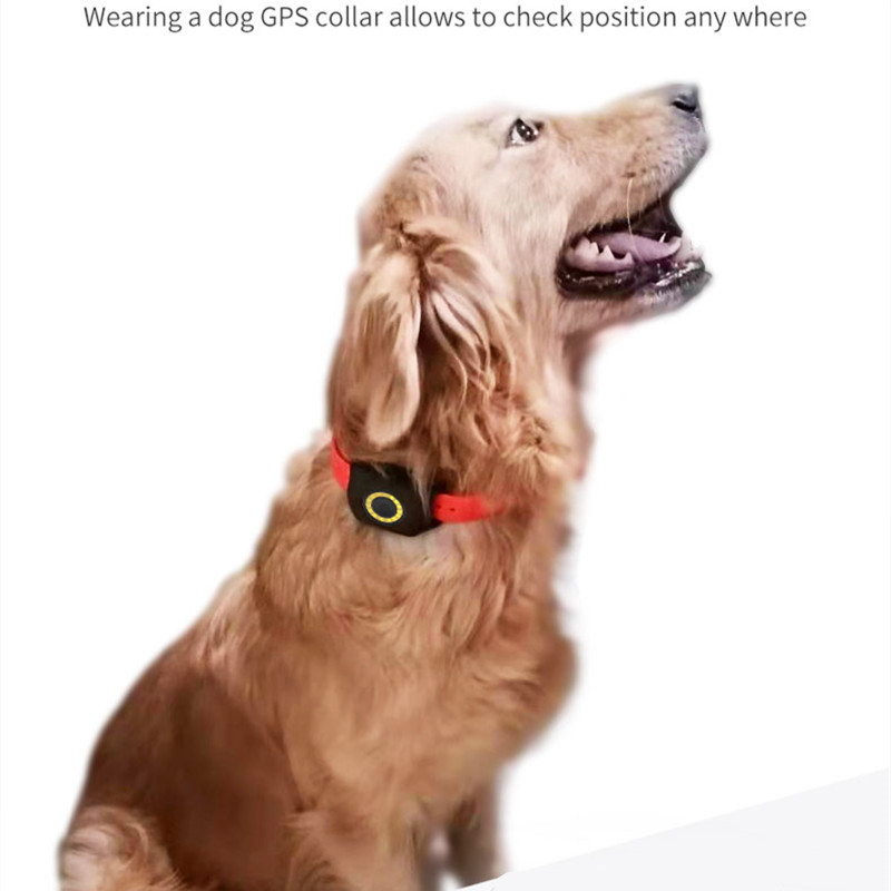 Technology good price bicycle cheap collar rechargeable tracker pet tracking for cat dog localizador gps