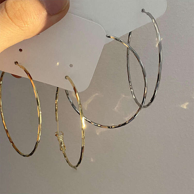 Sier Needle Metal Cold Wind Element Circle Geometric Large with High Quality Charm 2024 New Fashionable Earrings for Women