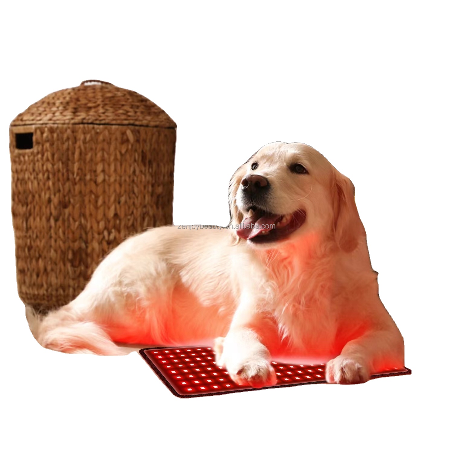 2024 Built-in Battery Wireless 660nm 850nm PDT dog red light pain therapy mat for leg pets wrap cat dog therapy infrared