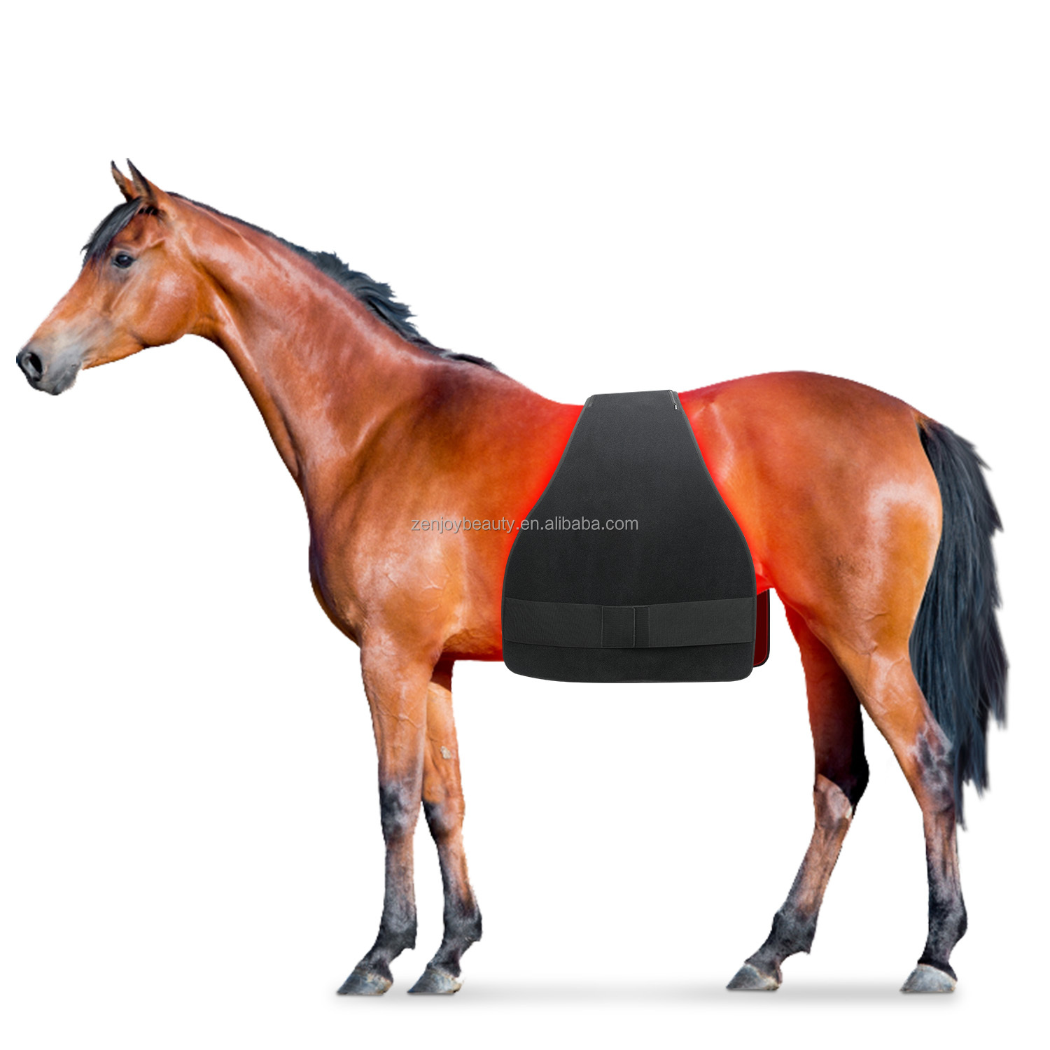 660 850 Pet Physical Therapy Belt Horses Care Near Infrared Back Body Pain Relief Flexible Red Light Therapy Horse Pad For Horse
