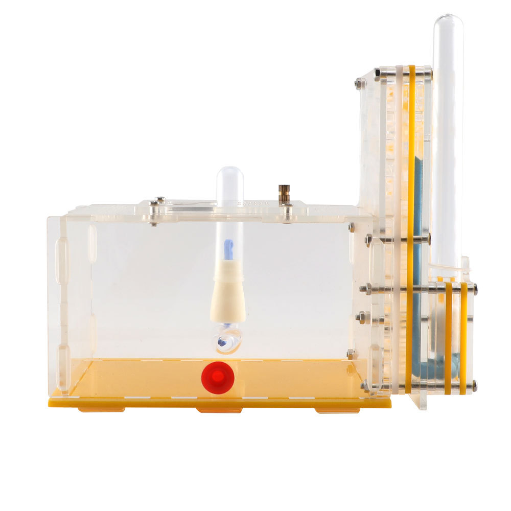 DIY large acrylic ant farm with feeding area large ant house ant nest villa anthills workshop
