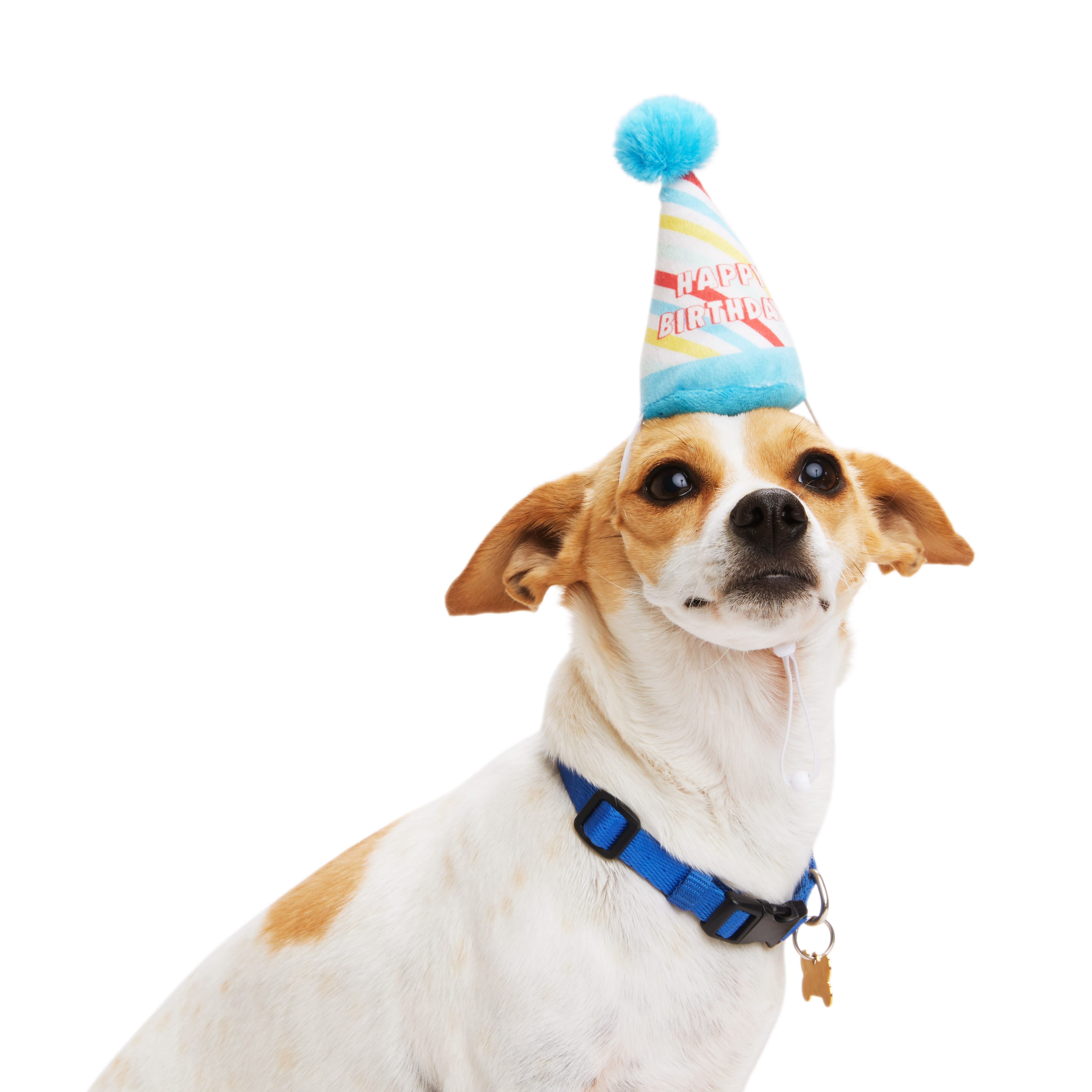 YOULY Birthday Dog Hat, Small/Medium