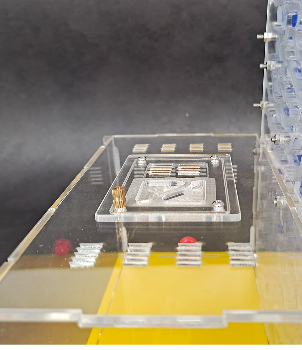 Large space ant nest formicarium ant farm for ants