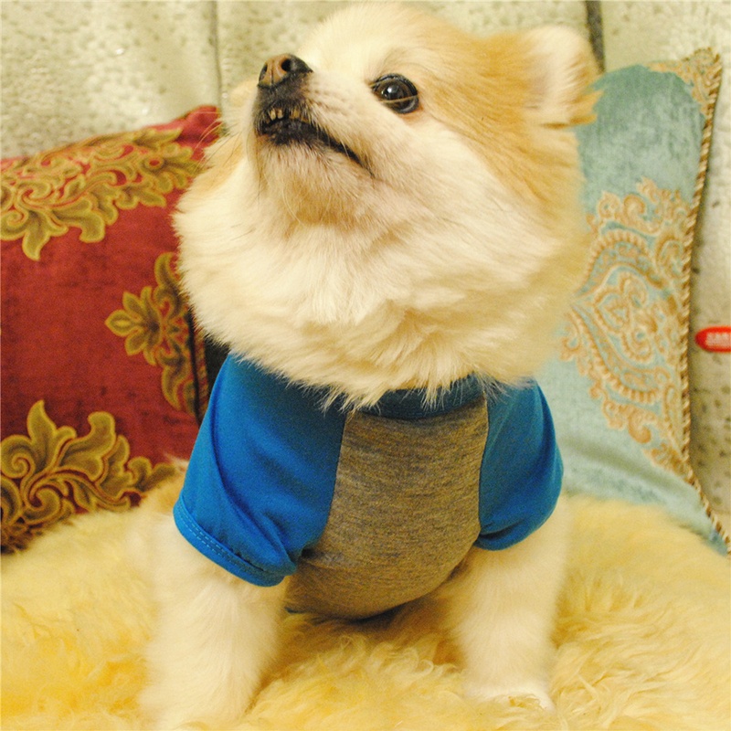 Cute Polyester Dog Summer Vest with Print Small Pet Clothes Featuring Lettering "YOU RESCUED MY HEART" for Spring Season