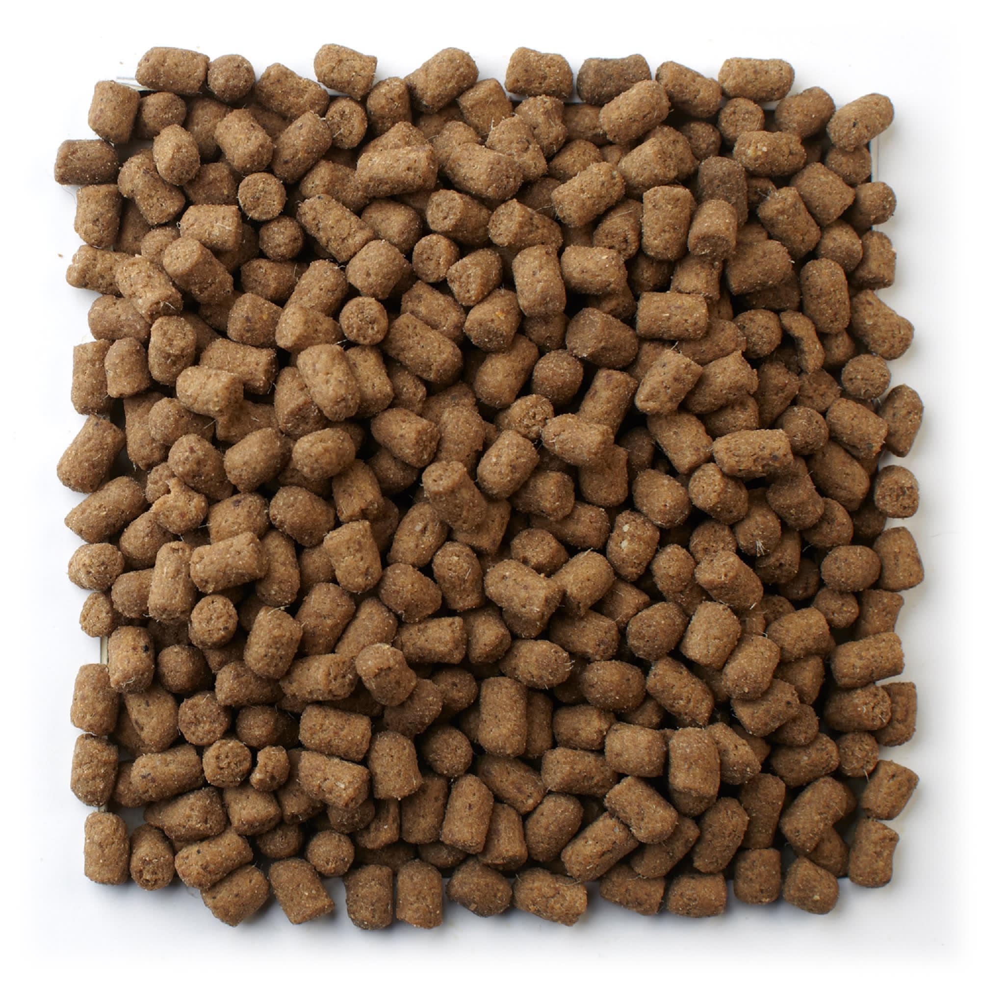 Mazuri Ferret Diet Food, 5 lbs.