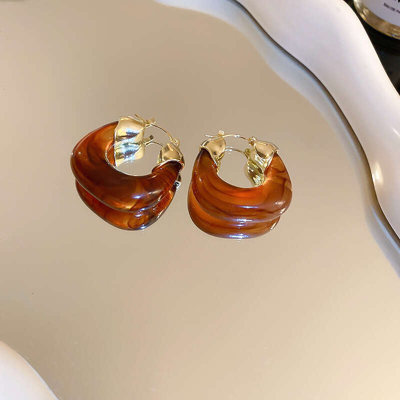 Elegant High-End Geometric Sier Needle Maillard Earrings - Niche Design with Style
