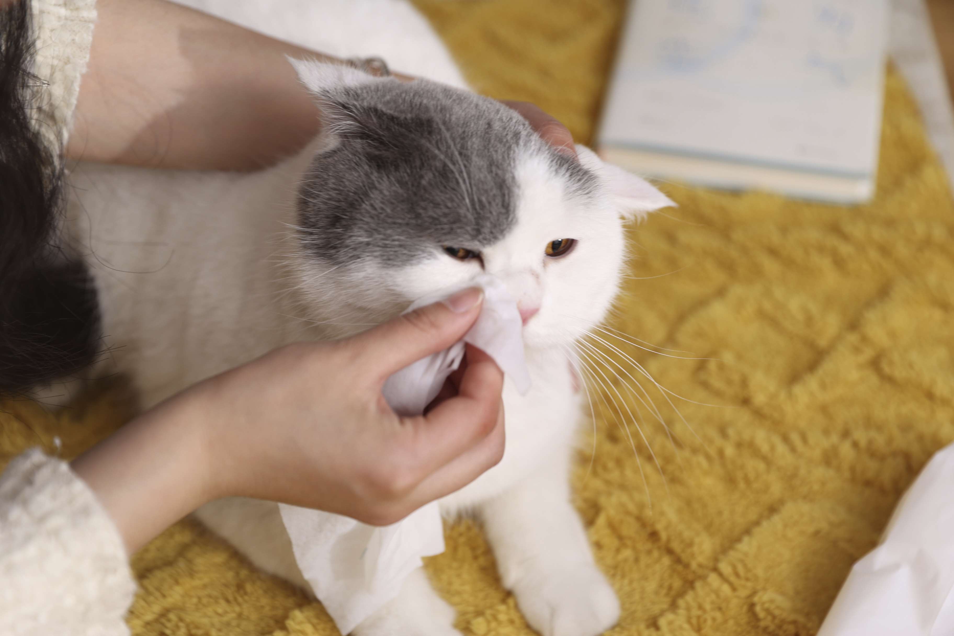 Pet Grooming Cleaning Supplies Soft Non-Woven Gentle Tear Stain Cat Dog Wipes Pet Eye Wet Wipes