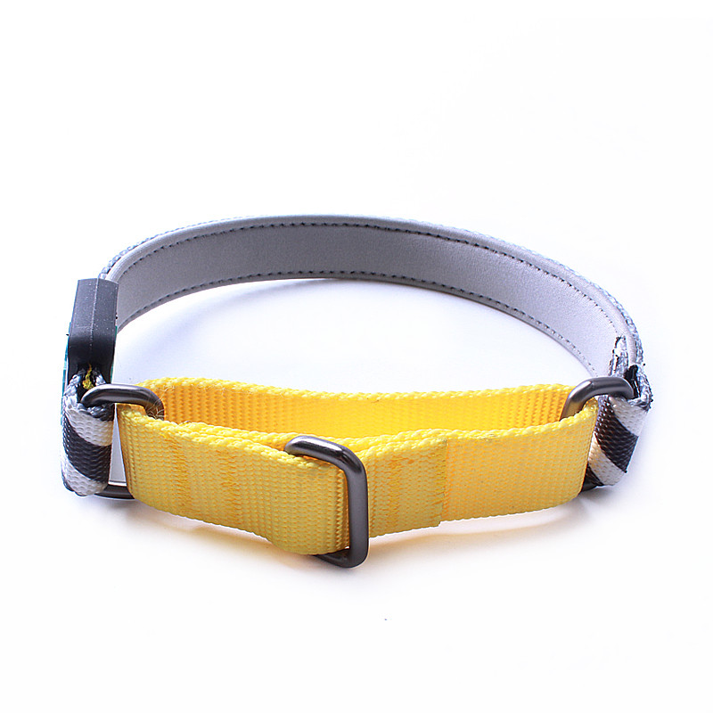Nylon martingale dog collar luxury paracord neoprene dog collars custom