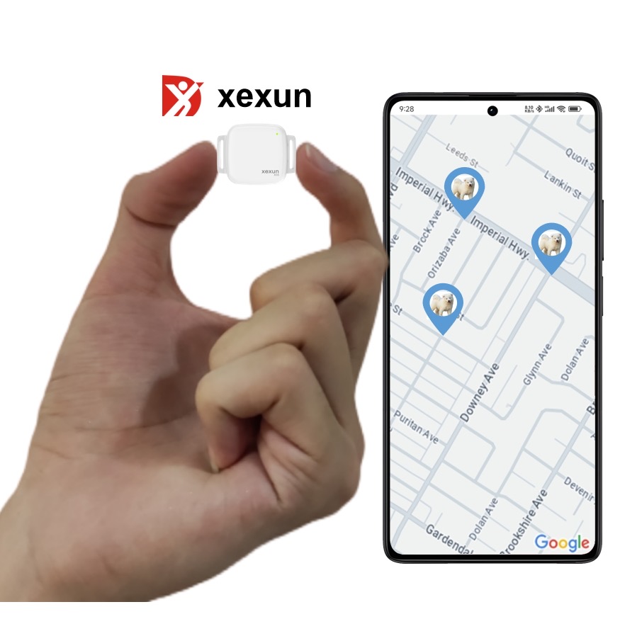 Xexun Free GPS APP Platform Cheap Pet Gps Tracker High precision Mini GPS Tracking Device Locator for Dog Cat Pet