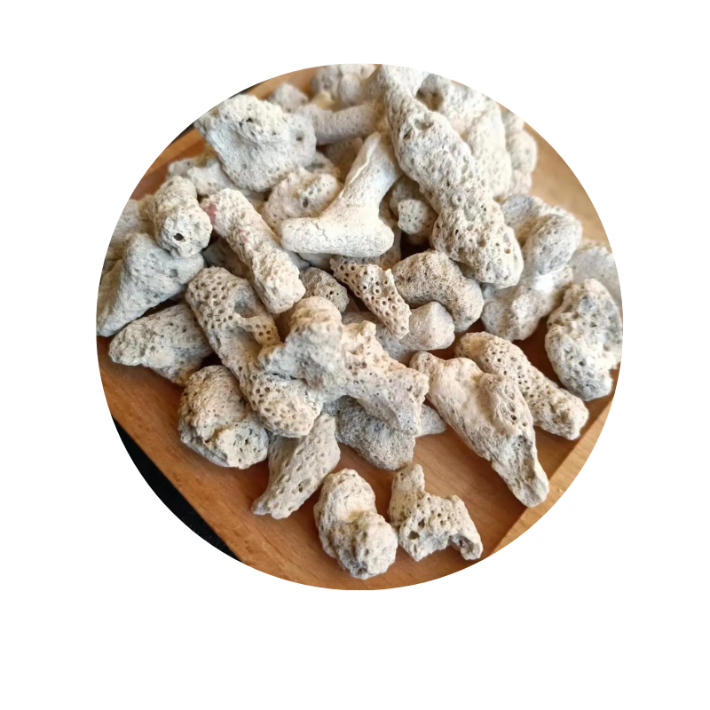 philippines coral sand for aquariums Fly off the shelves taiwan coral sand Complete specifications sand frag plug coral