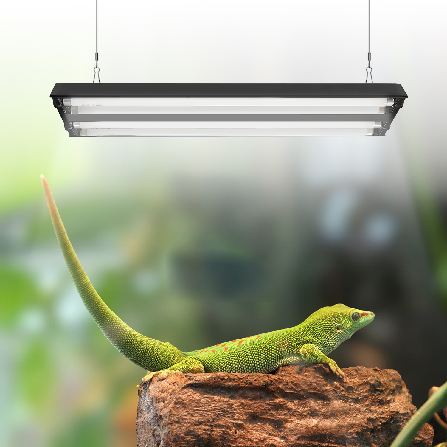 2 Bars Reptile Dual T5 Lamp holder Reptile Glass Terrarium Fluorescent Reptile Light Fixture