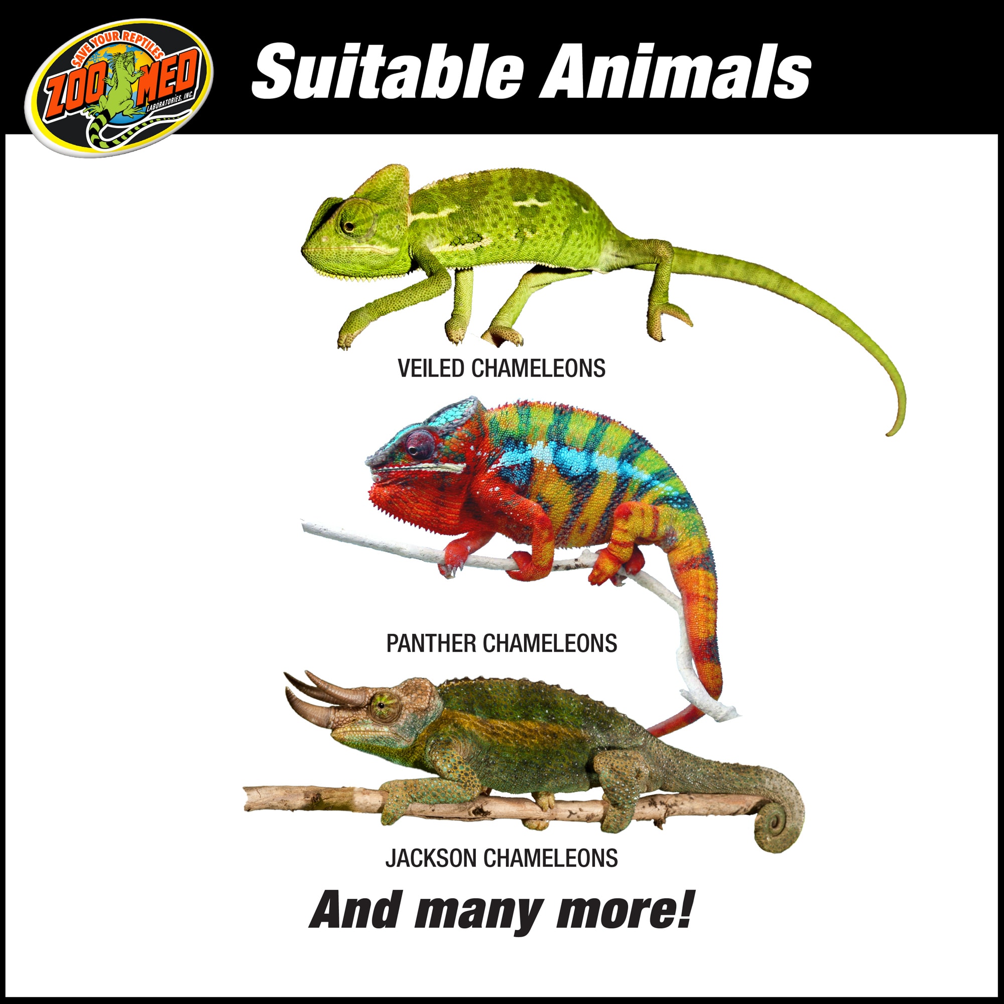 Zoo Med Repti Breeze Chameleon Kit, 16" L X 16" W X 30" H