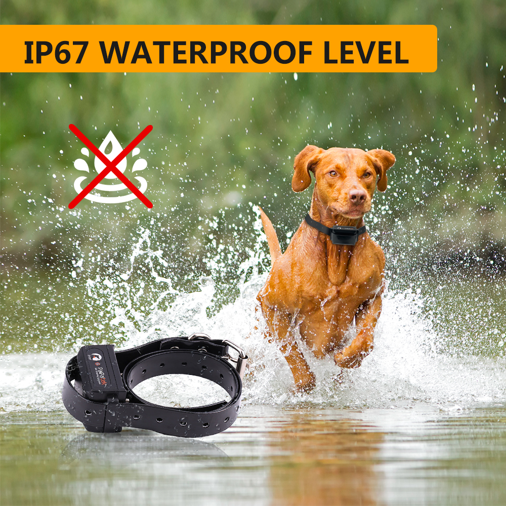 PaiPaitek 1000M Remote Controller Beep Vibrate Static Shock Dog Pet Trainer E Collar Anti Bark Barking Training Collar For Dogs