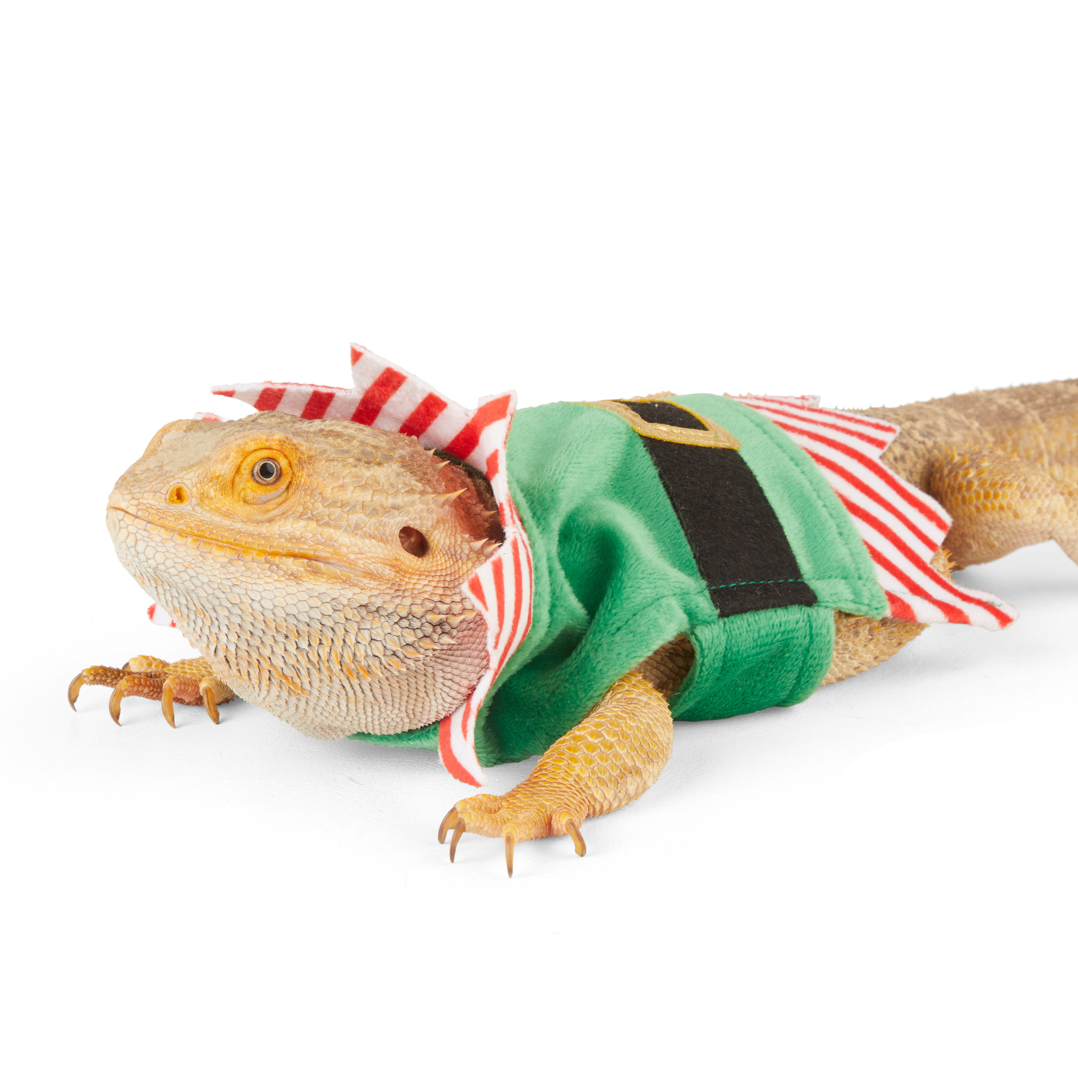 Merry Makings Elf Costume for Reptiles, Green