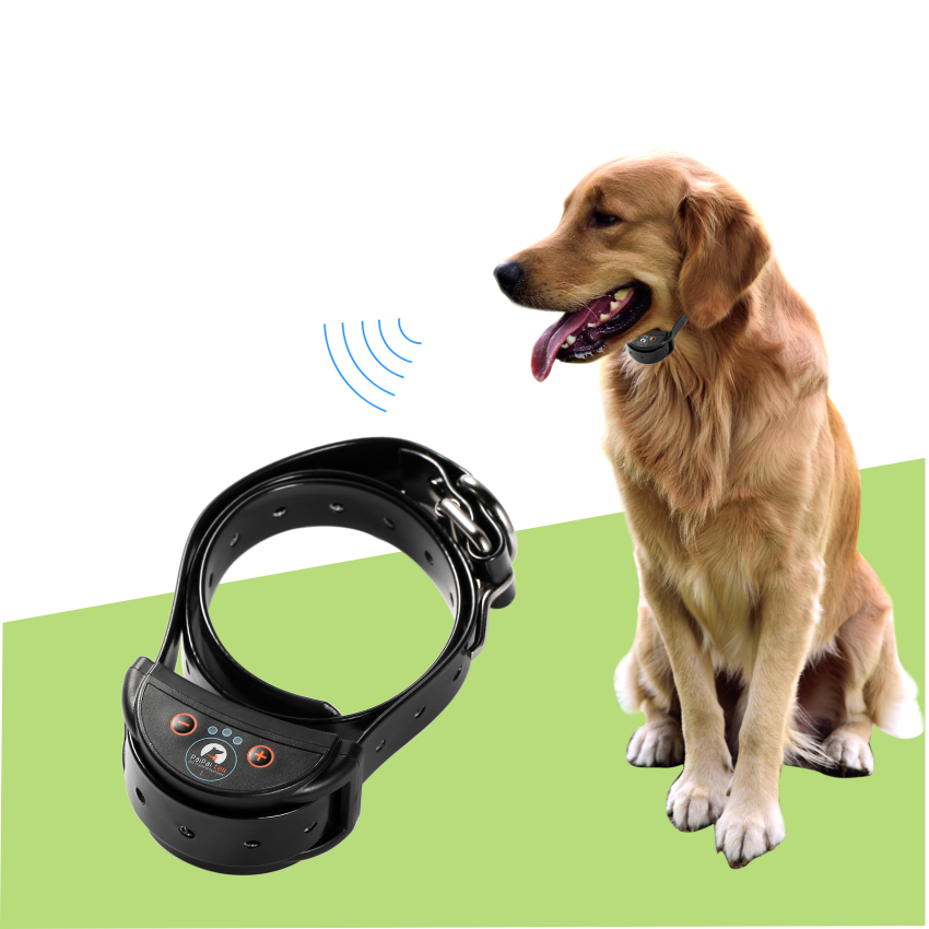 5 sensitivity Levels Adjustable Rechargeable No Barking Electronic Shock Collar