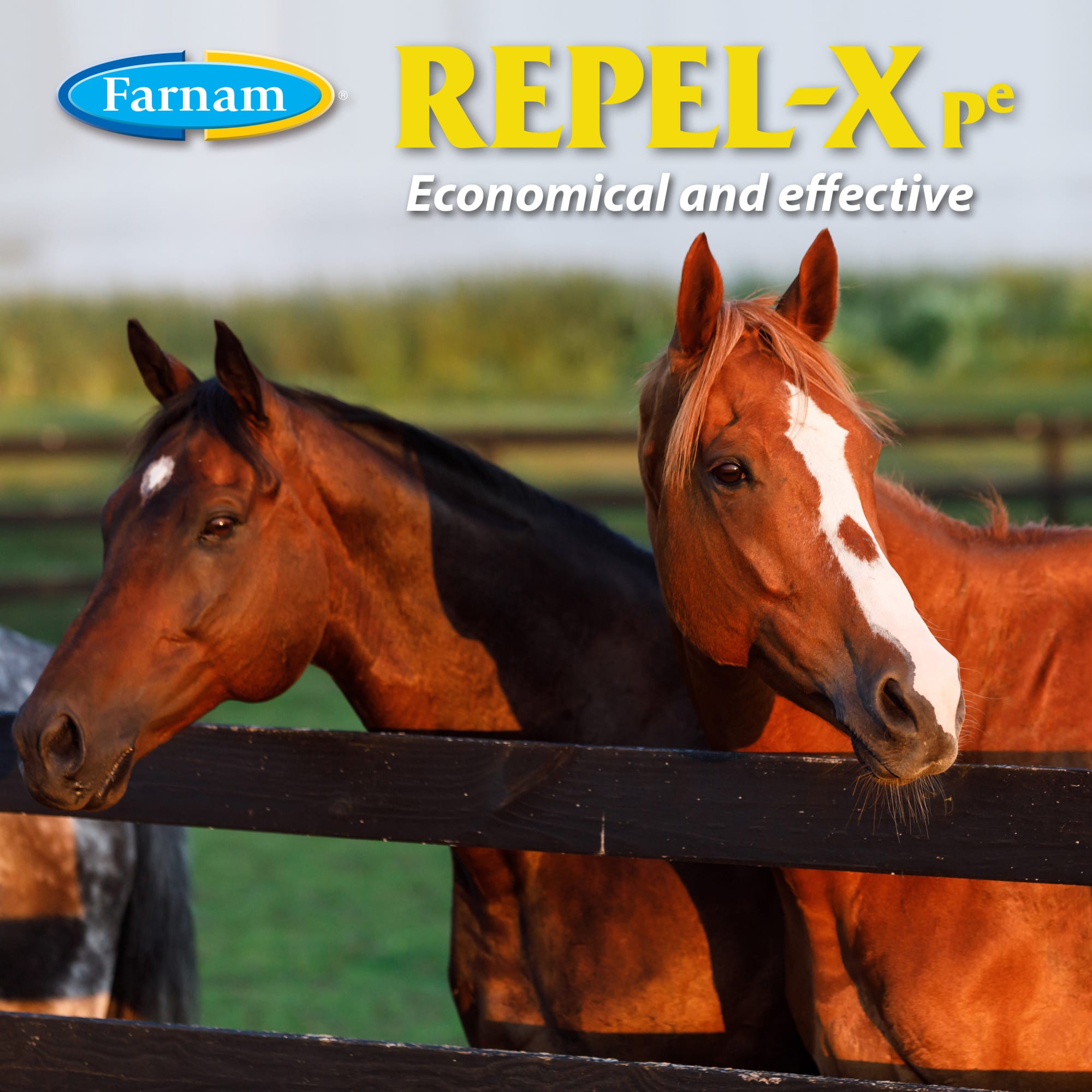 Farnam Repel-X Pe Emulsafiable Fly Spray for Horses, 32 fl. oz.