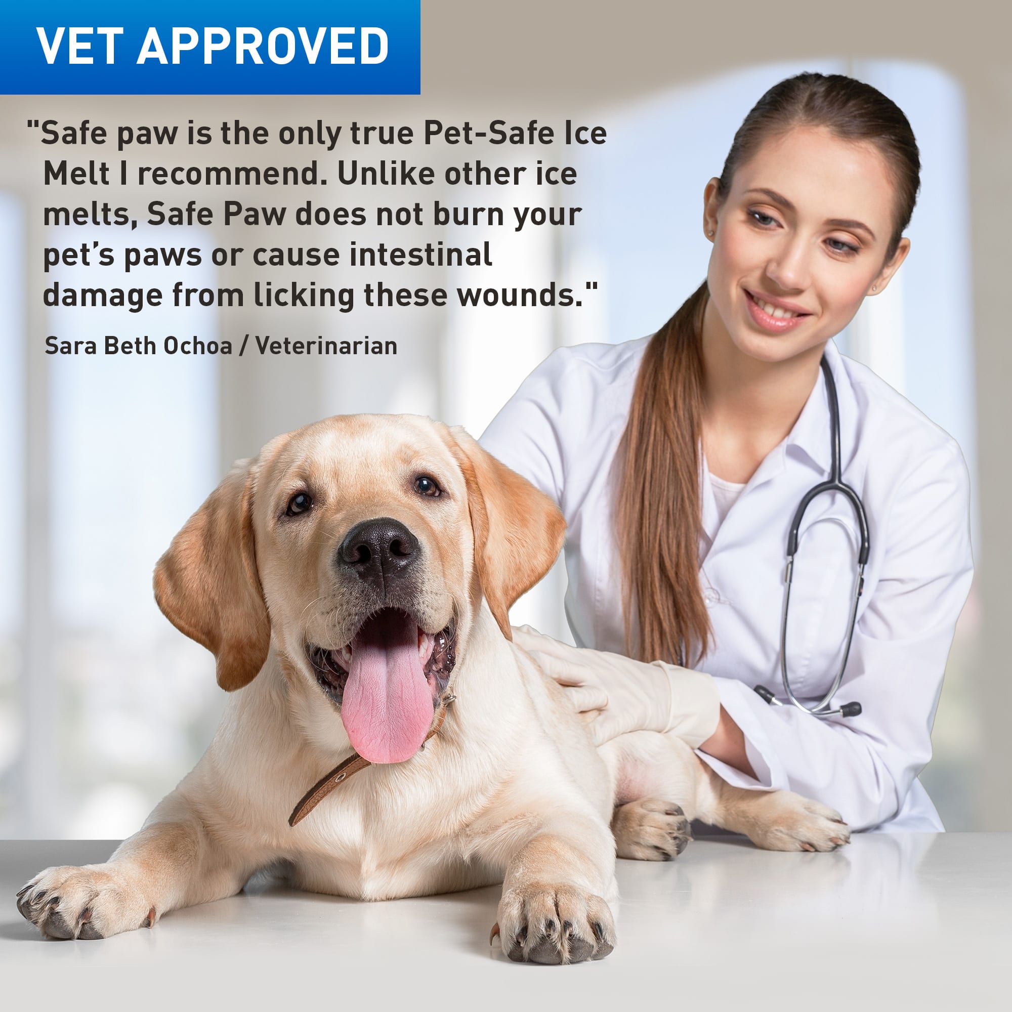 Safe Paw Ice Melter for Dogs, 22 lbs.