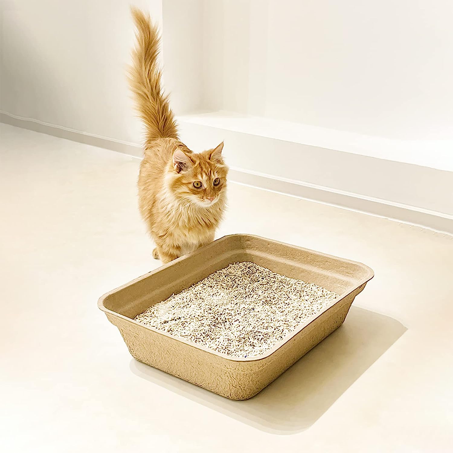 Paper Pet Litter Pan Disposable for Cats Portable Litter Liners Box Disposable Cat Litter Box Indoor Outdoor Travel Large