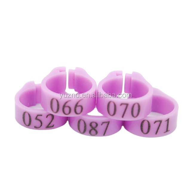 Pigeon Clip digital ring 100pcs/ box with serial number 001-100 for racing pigeon leg ring purple color
