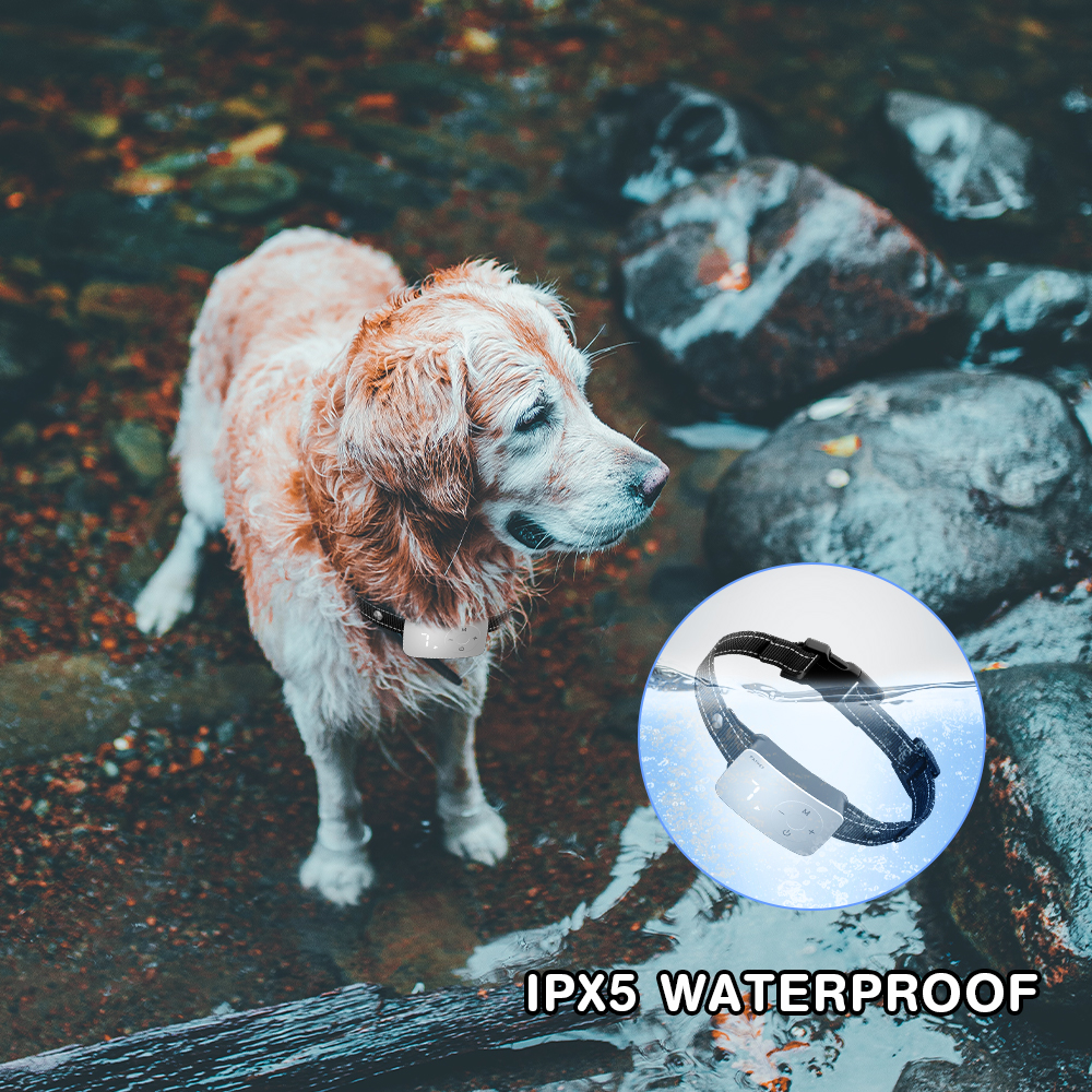 Hot Sell Rechargeable Bark Control Electric Dog Training Collar Beep Vibration Shock Anti-Bark Collar For Dogs
