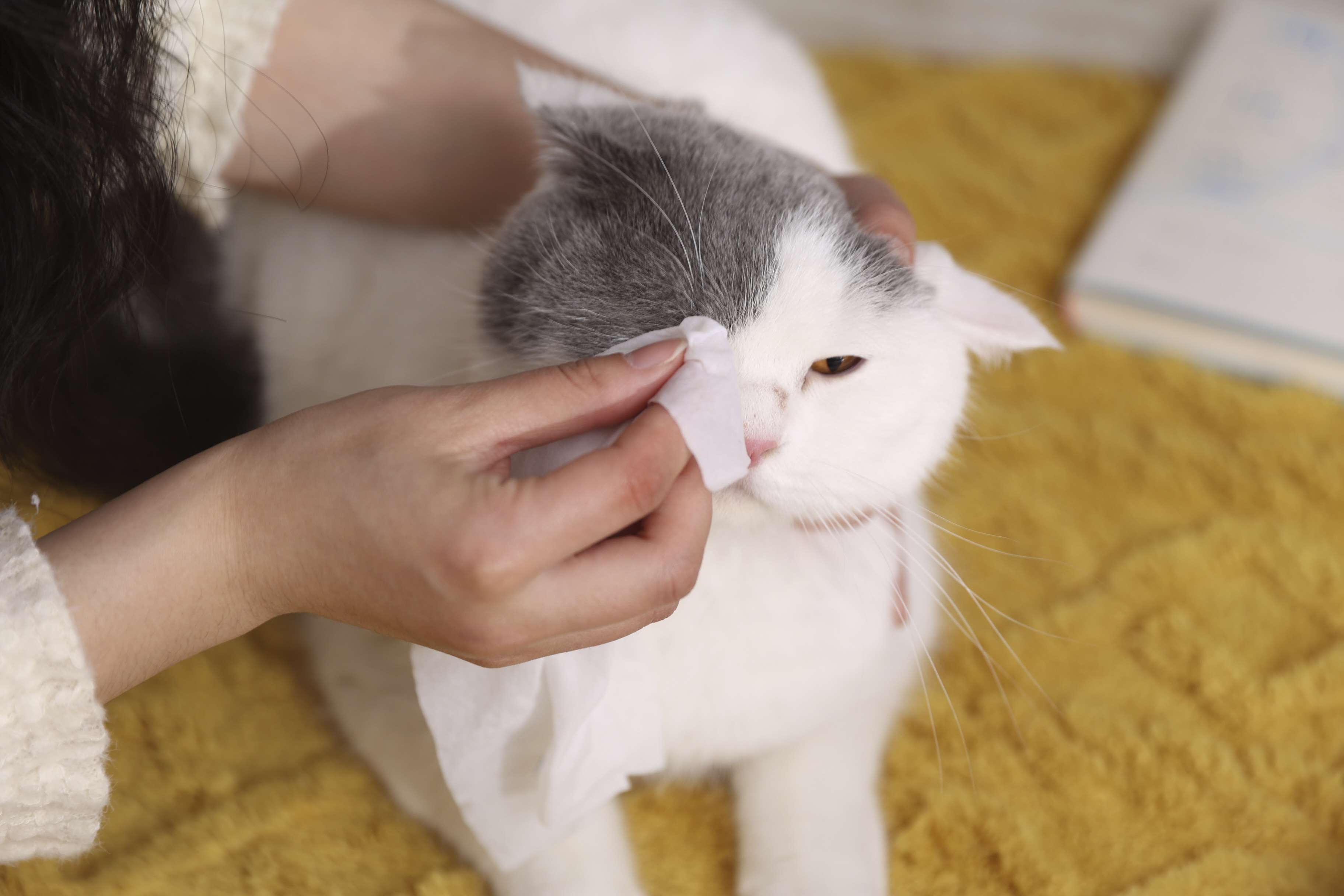 Pet Grooming Cleaning Supplies Soft Non-Woven Gentle Tear Stain Cat Dog Wipes Pet Eye Wet Wipes