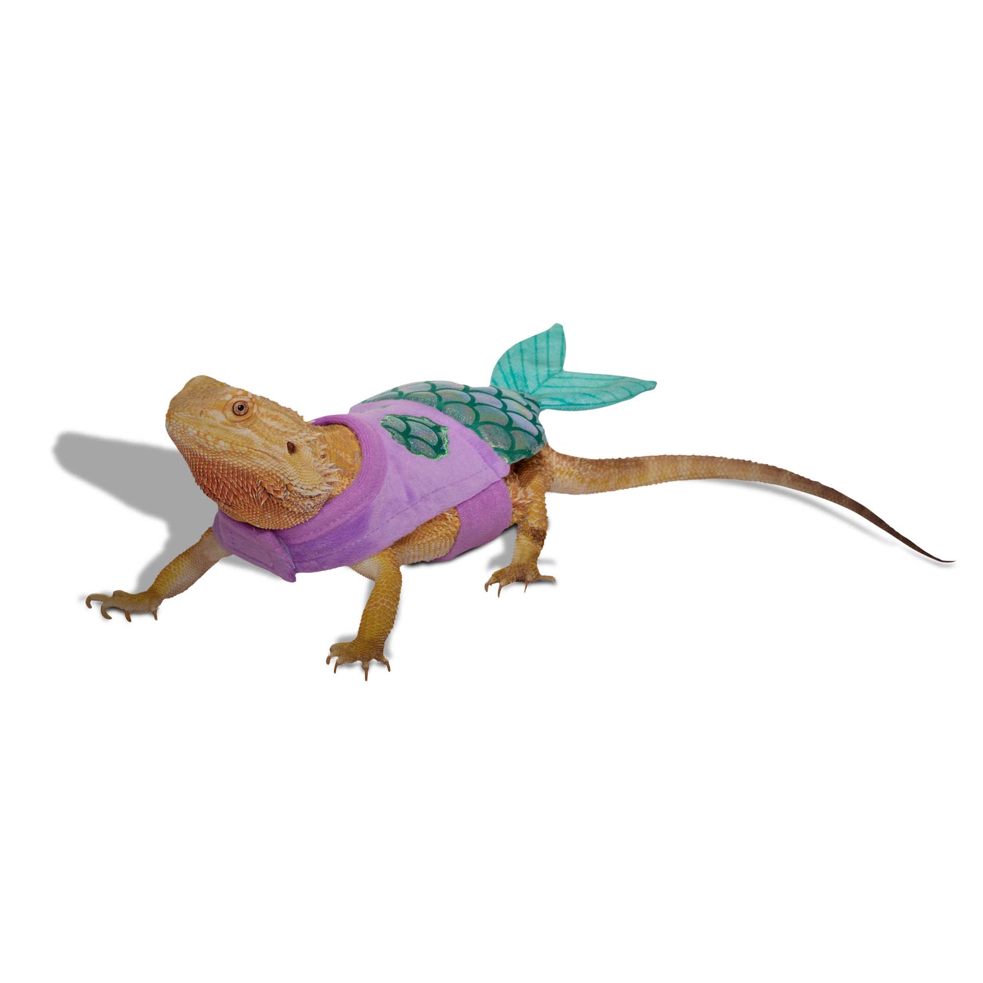 Bootique Mermaid Costume for Reptiles, Small