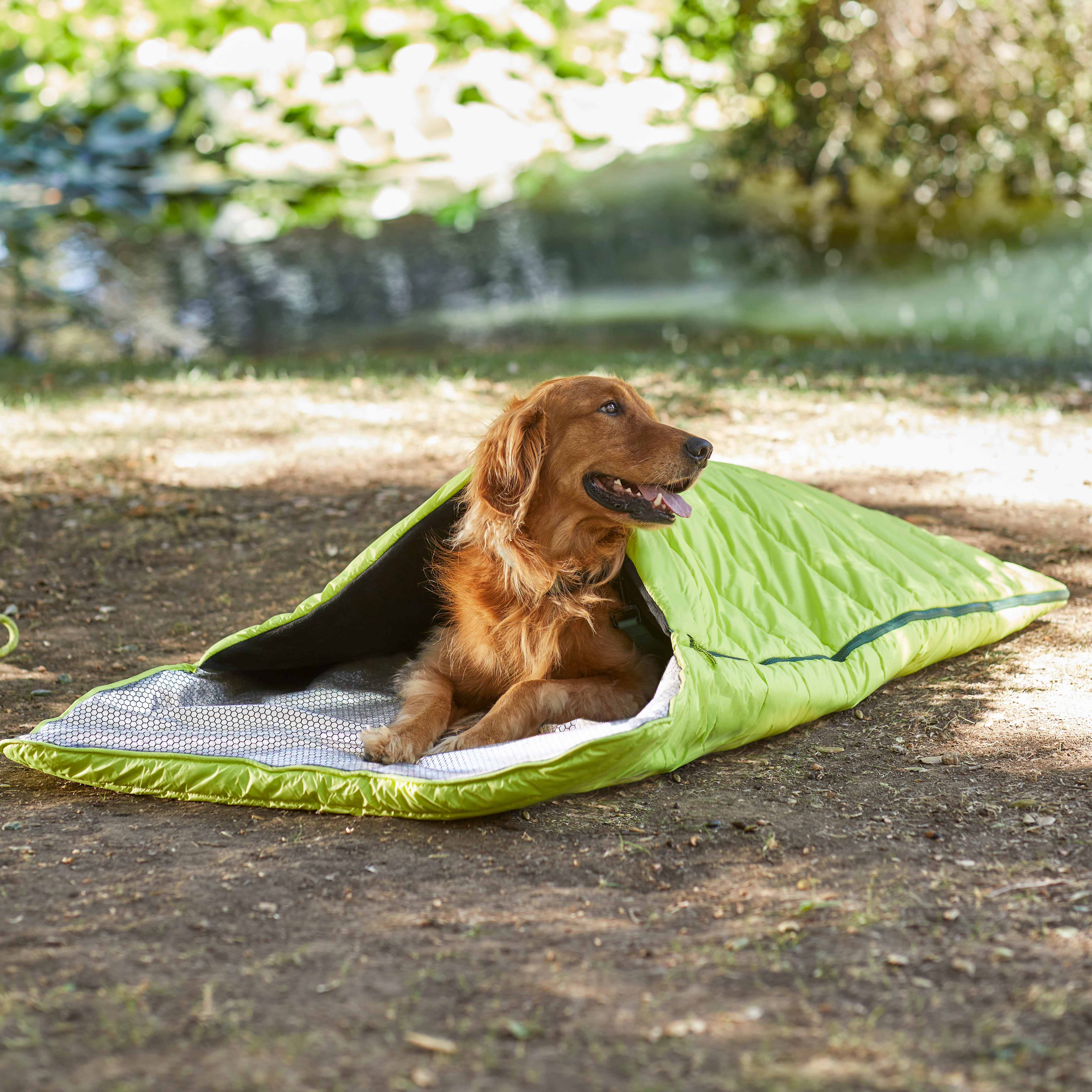 Backcountry x Petco The Sleeping Bag, Small/Medium