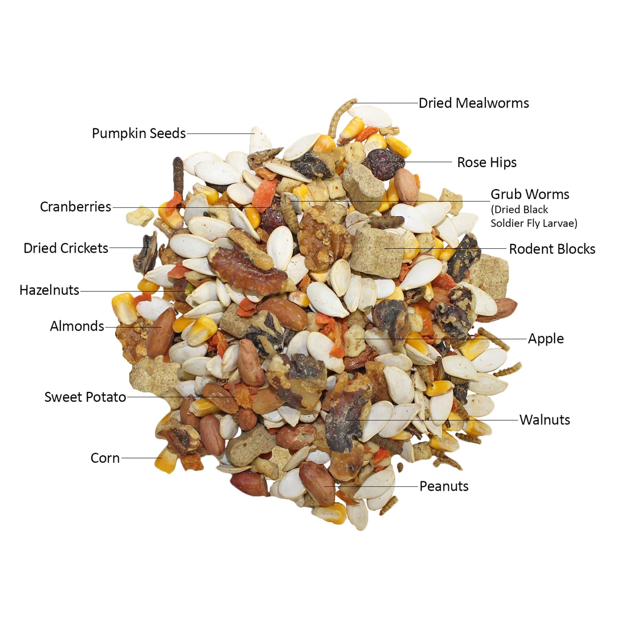 Exotic Nutrition Squirrel Complete Squirrel Food, 1.75 lbs.