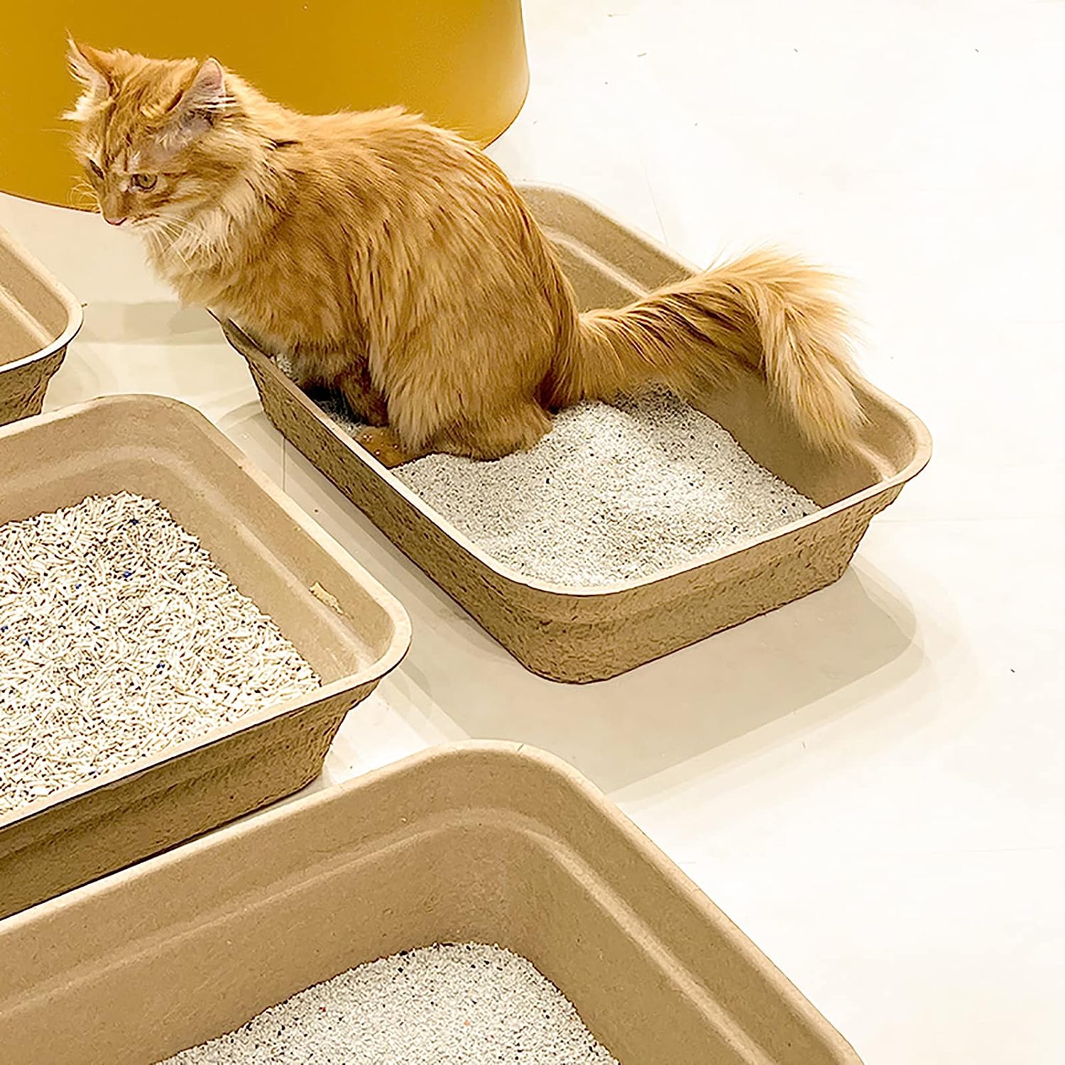 Paper Pet Litter Pan Disposable for Cats Portable Litter Liners Box Disposable Cat Litter Box Indoor Outdoor Travel Large
