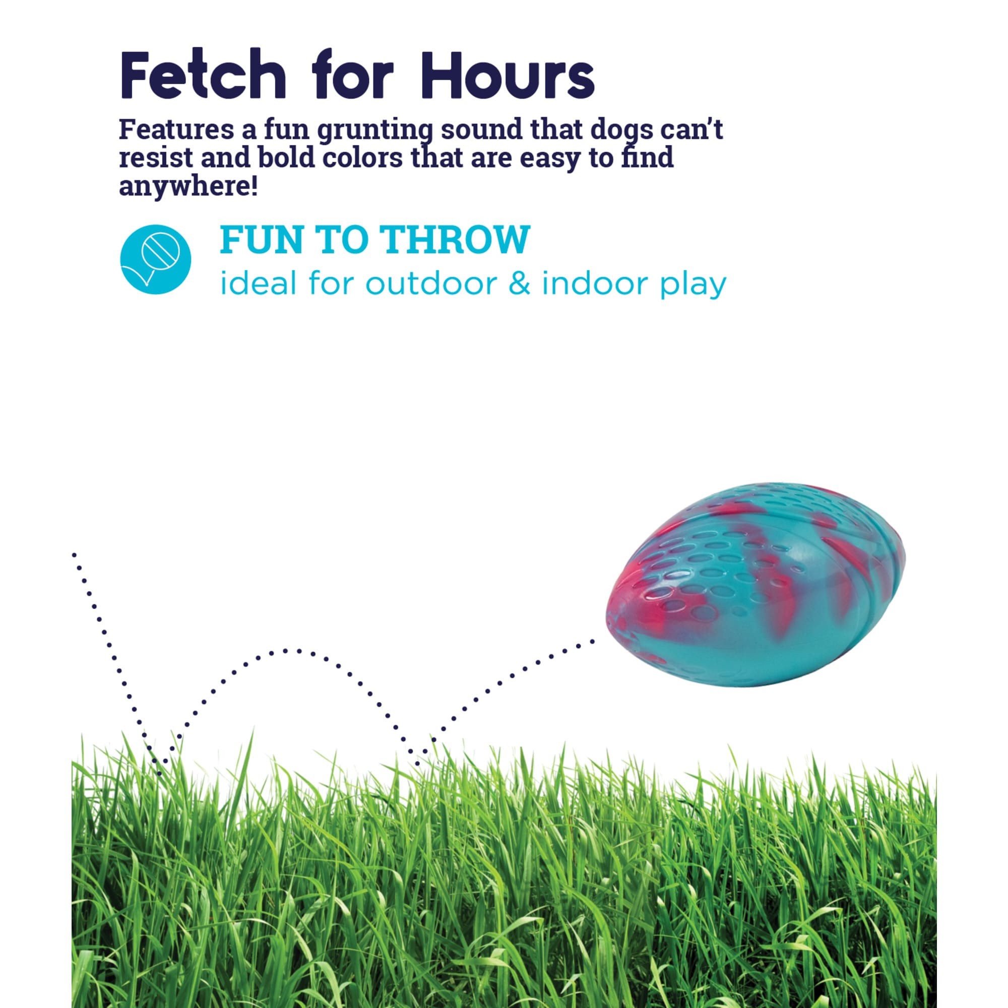 Petstages Fetching, Throwing Fun Grunt N' Punt Football Dog Toy, Small