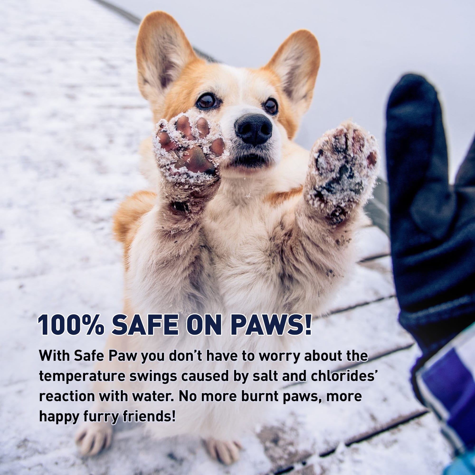 Safe Paw Salt Free Ice Melter for Dogs