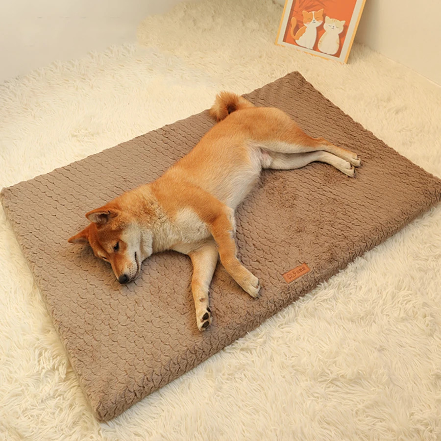 Short Plush Removable Washable Pet Bed High Elasticity Non-Collapse Dog Bed Suitable For Small And Medium Dogs and Cats 241125