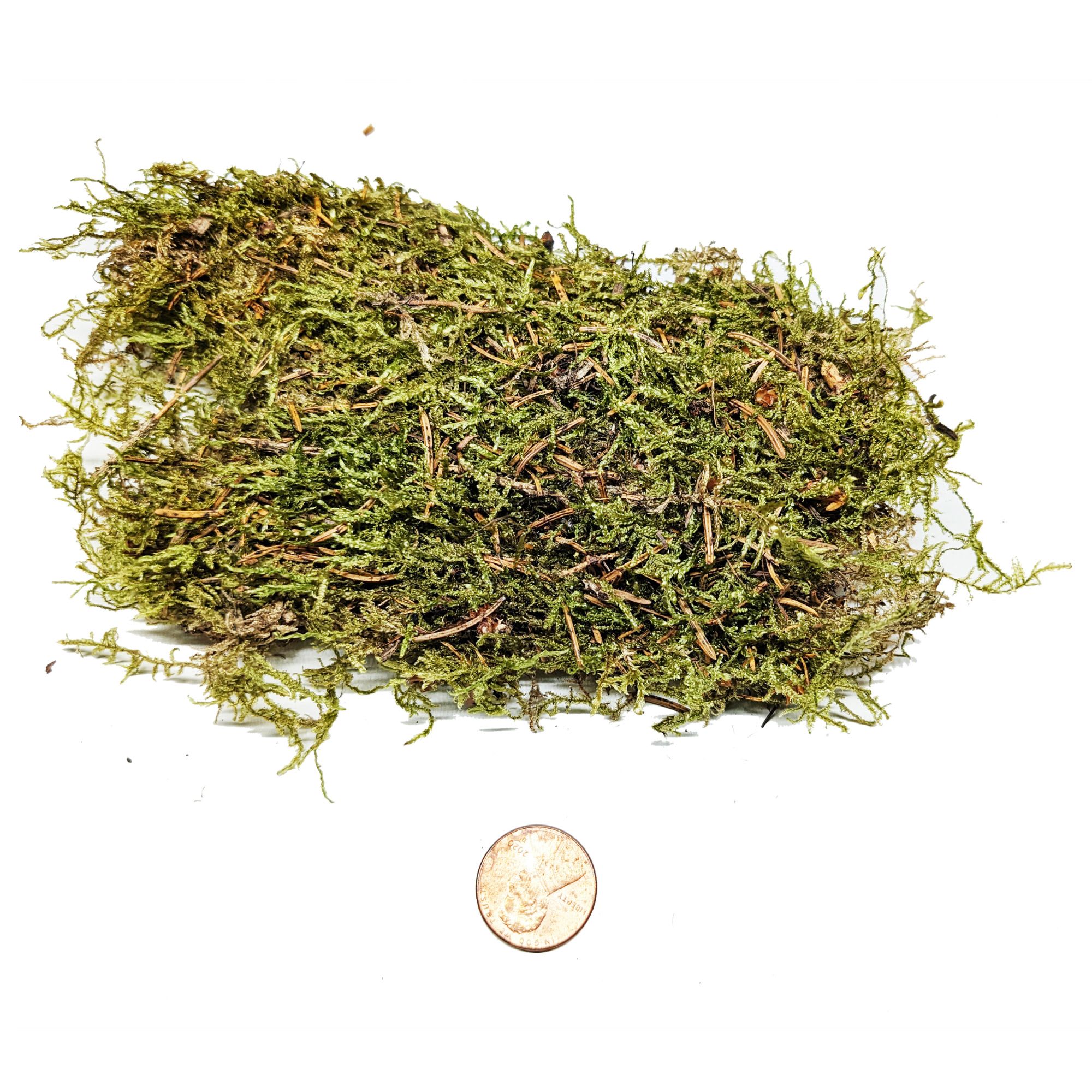 Josh's Frogs Dried Sheet Moss, 1 Gallon