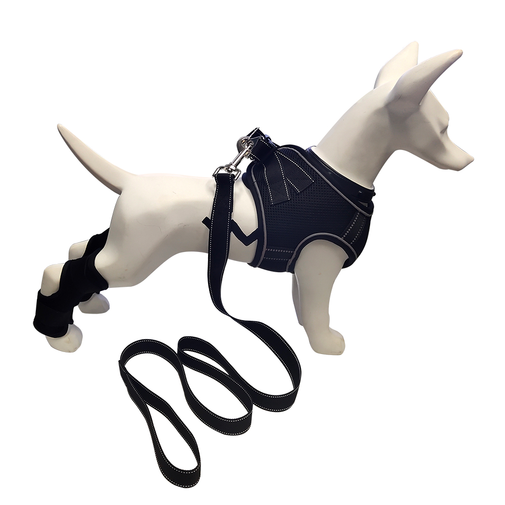 Leather safety custom step adjustable set dog collar training pet no pull harness