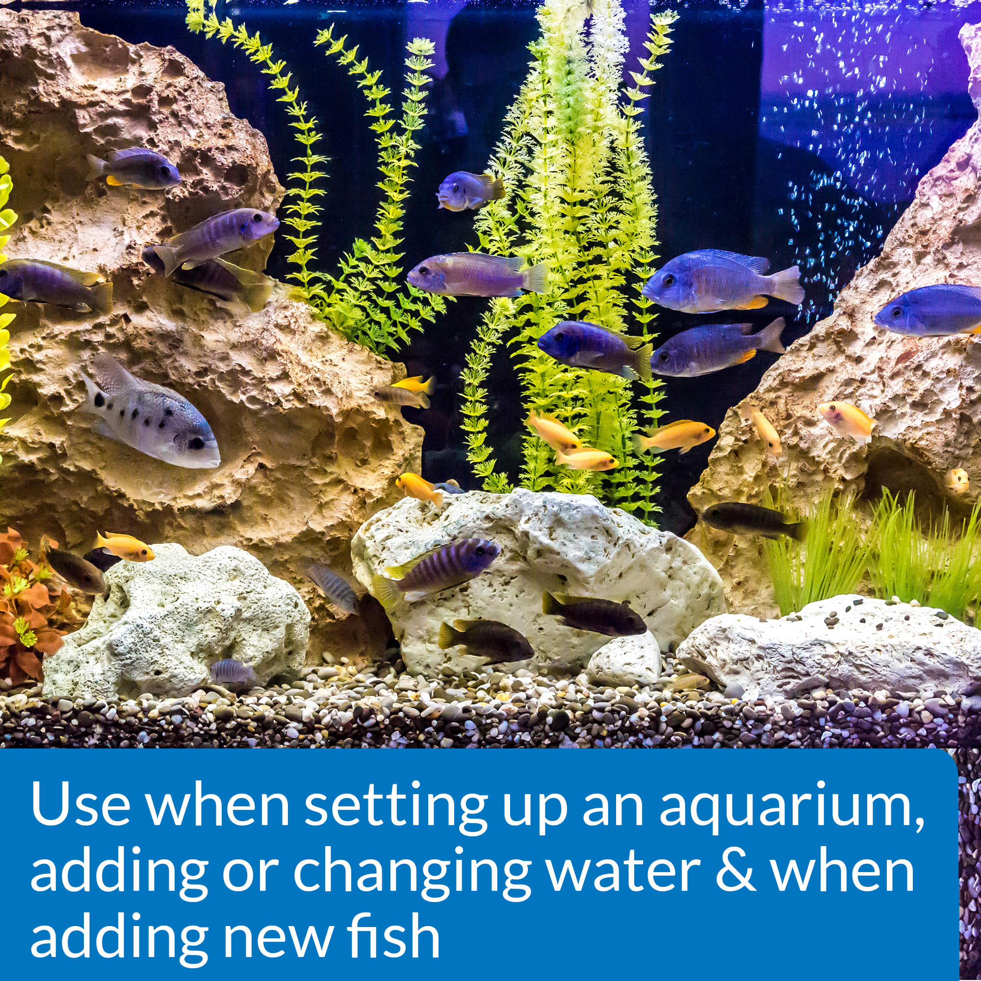 API Stress Coat Aquarium Water Conditioner, 16 oz.