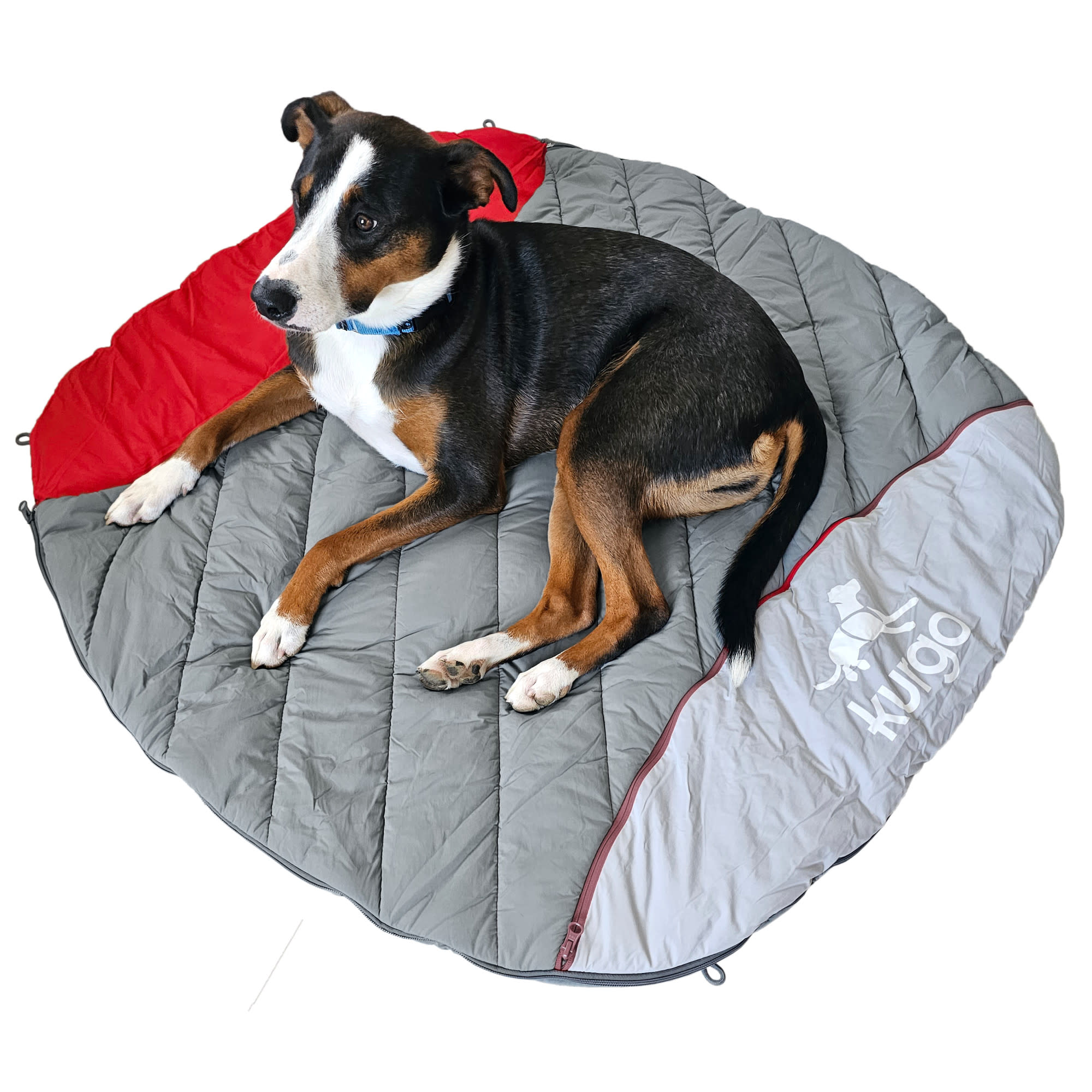 Kurgo Canyon Puffer Pup Sack, 30" L X 30" W X 3" H