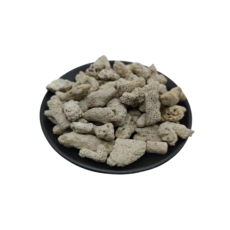 philippines coral sand for aquariums Fly off the shelves taiwan coral sand Complete specifications sand frag plug coral