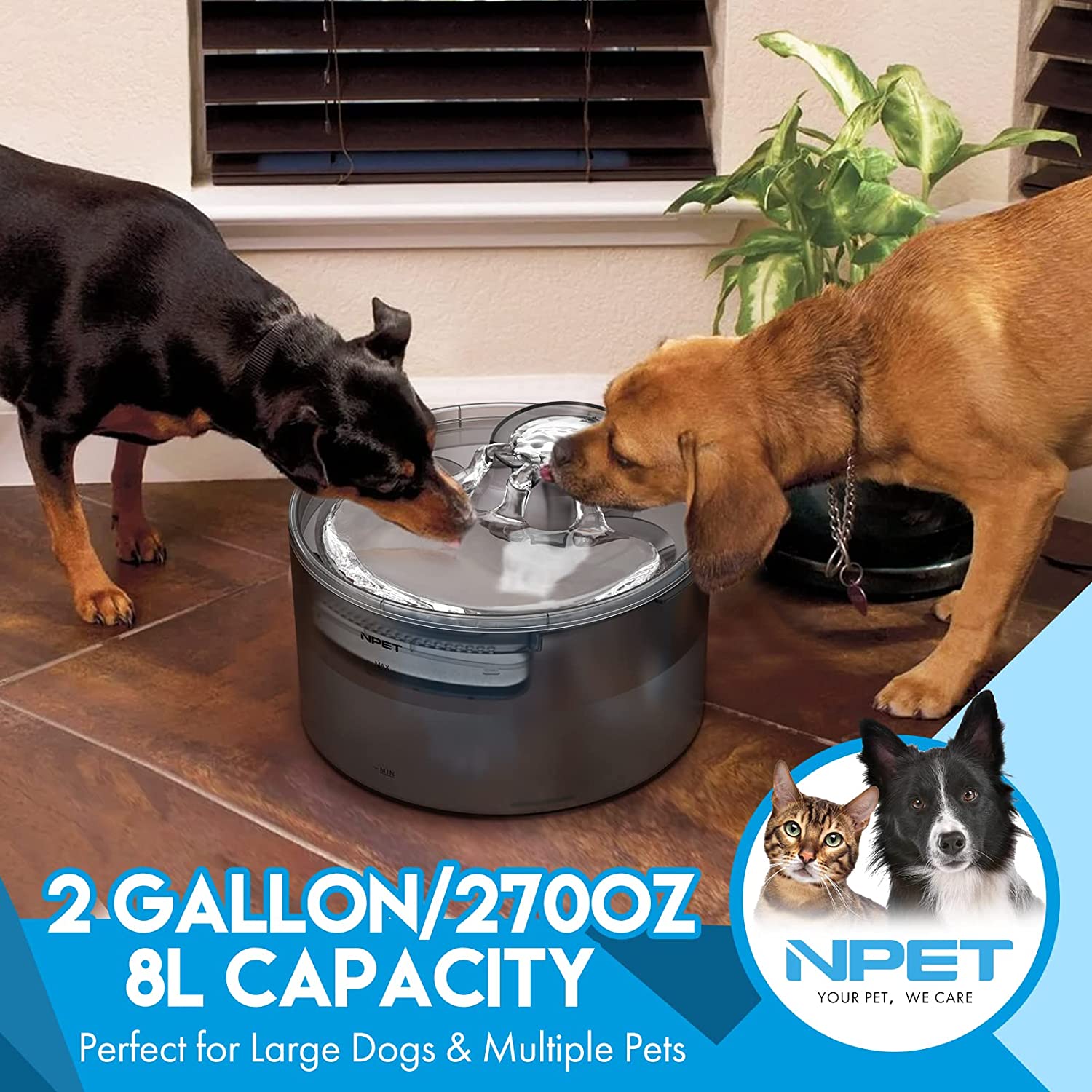 NPET Large Capacity 8L Pet Water Fountain for Dog Automatic Water Feeder with Splash Guard