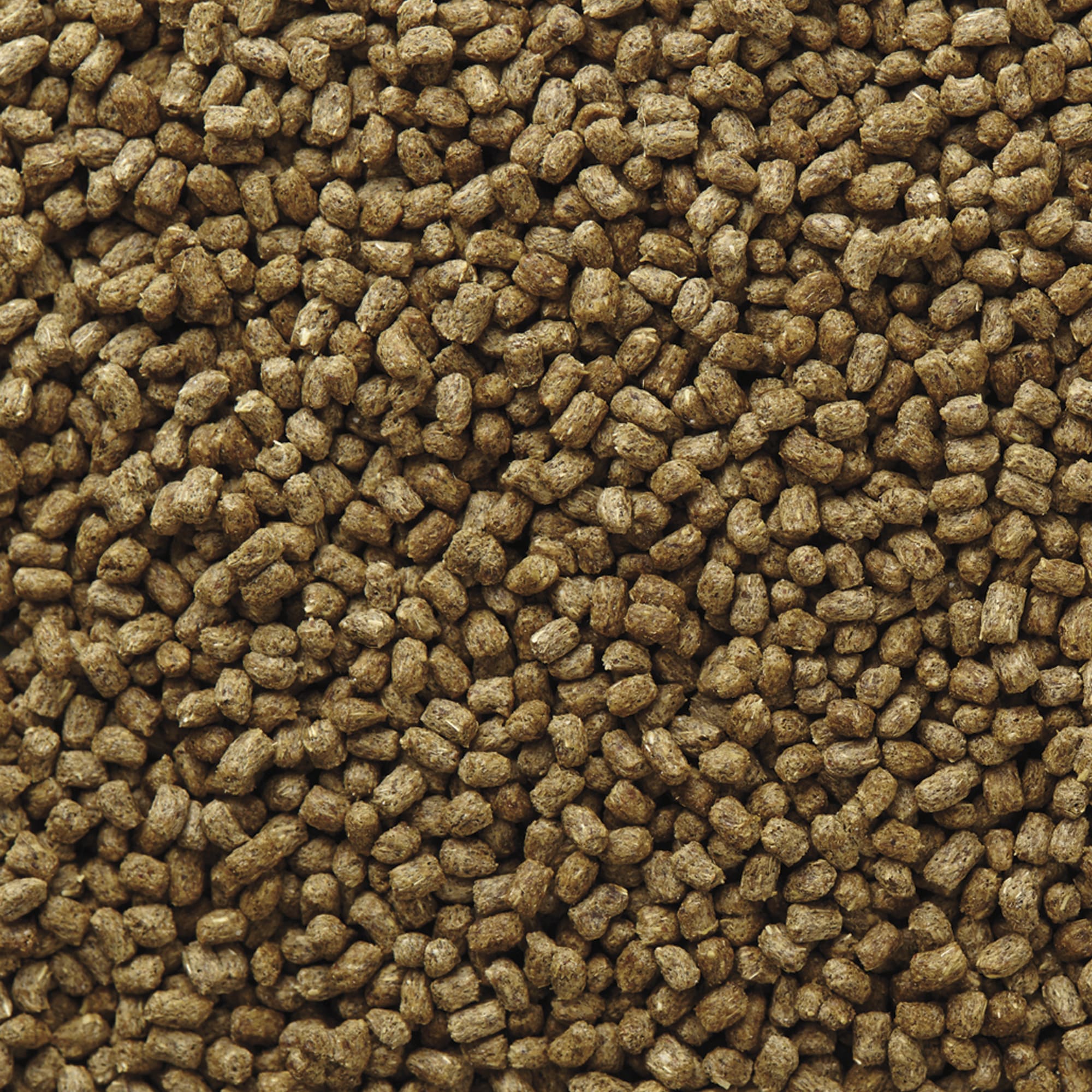 Mazuri Small Tortoise Diet LS Food, 8 oz.