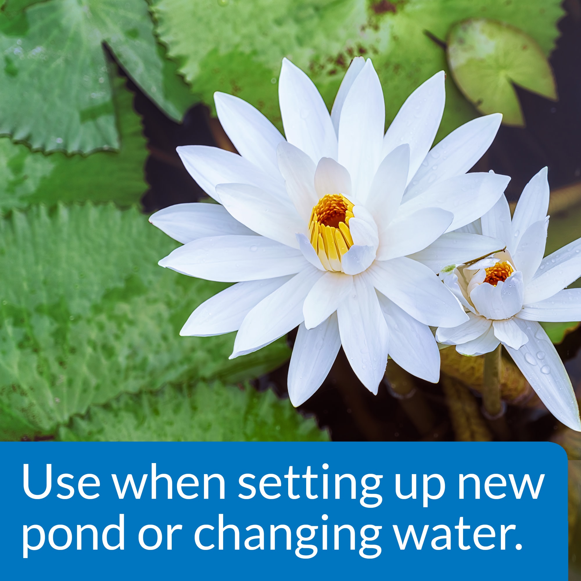 PondCare Chlorine & Heavy Metal Neutralizer